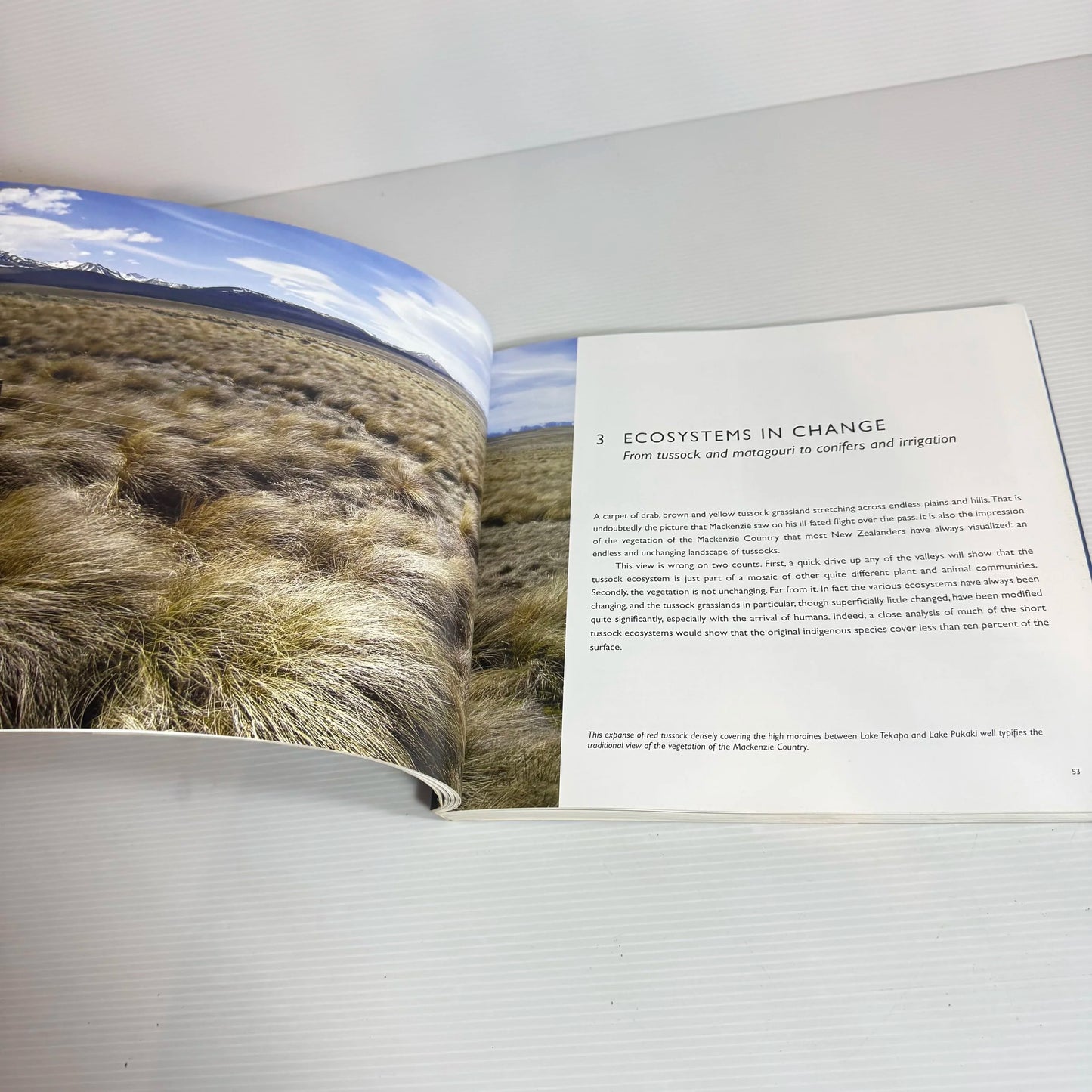 The Mackenzie Country : A Fine Plain Behind the Snowy Range - David Relph