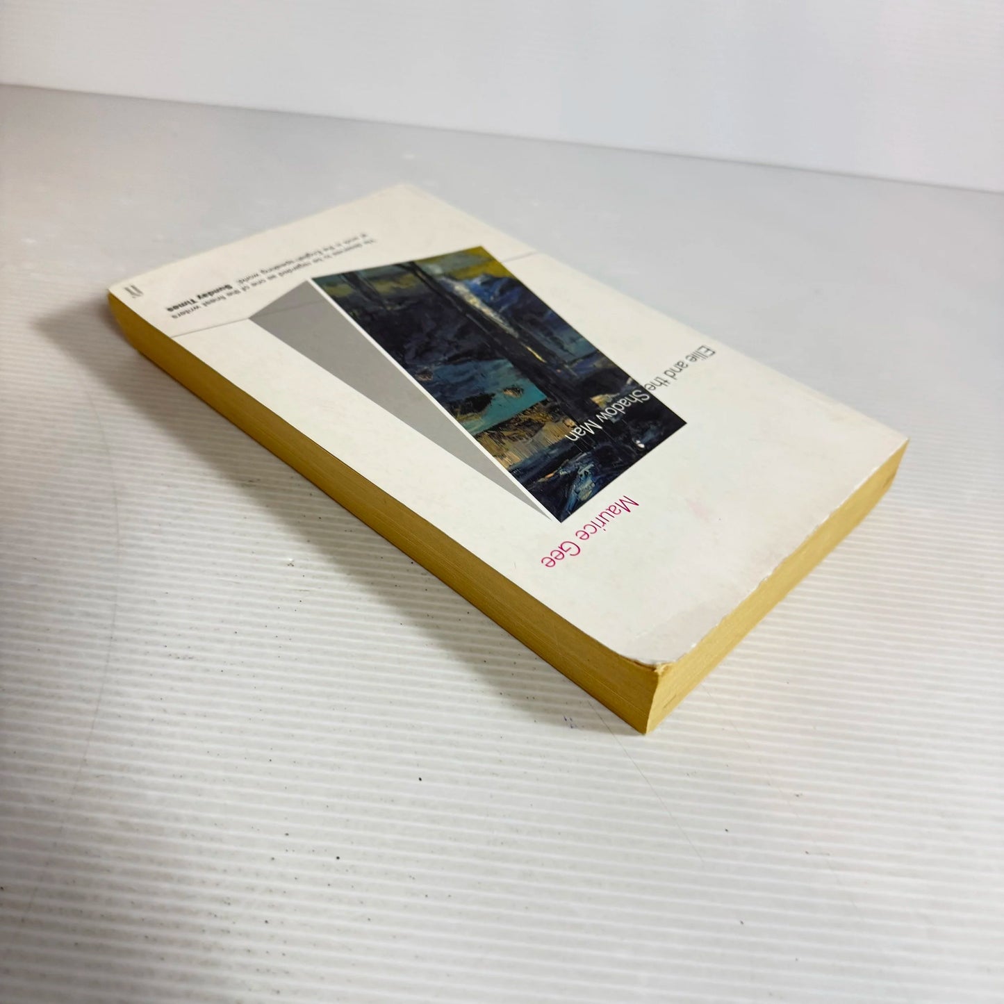 Ellie and the Shadow Man - Maurice Gee