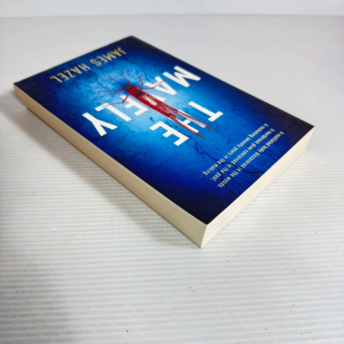 The Mayfly - James Hazel