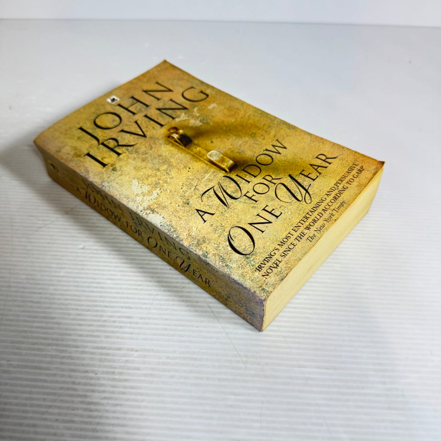 A Window For One Year - John Irving