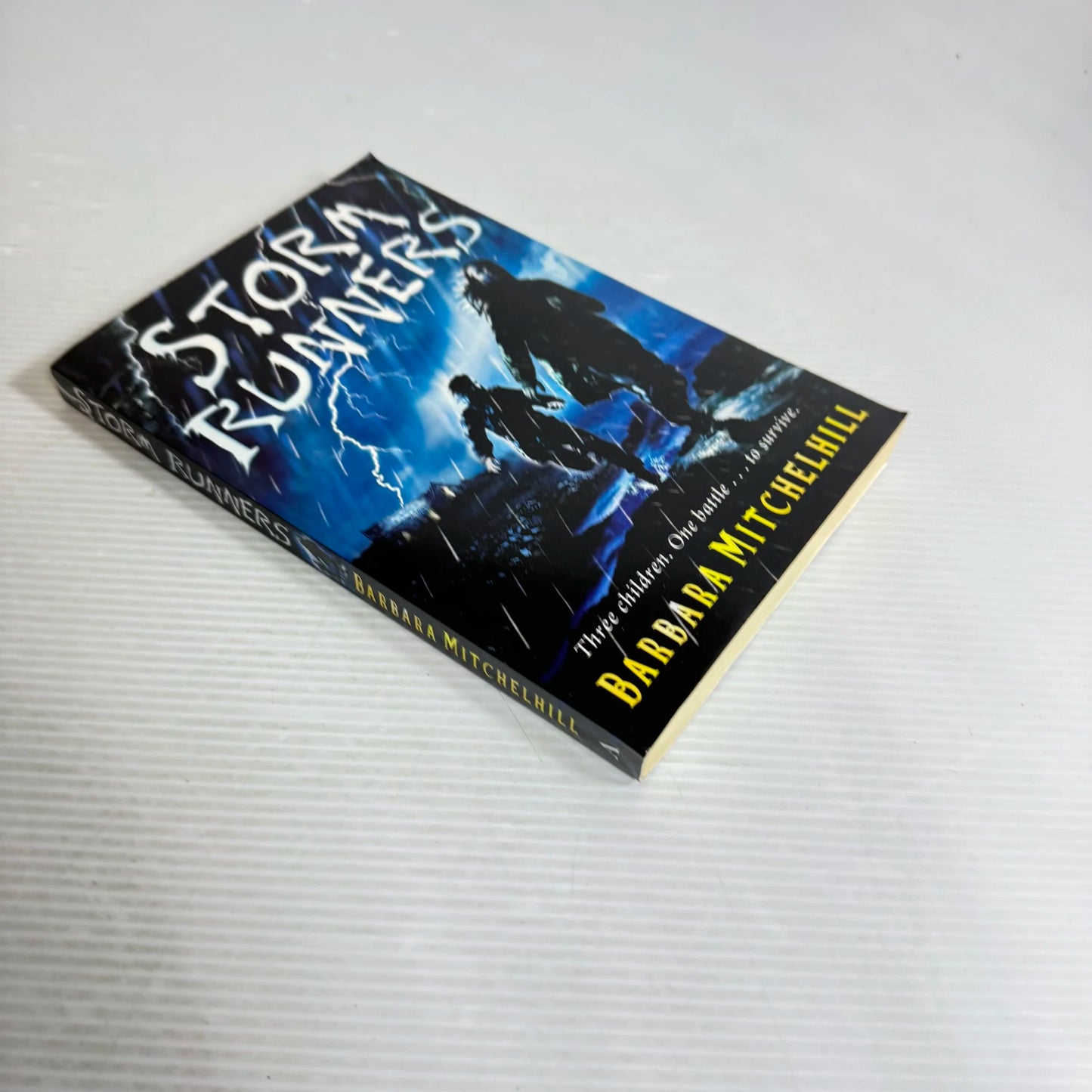 Storm Runners - Barbara Mitchelhill