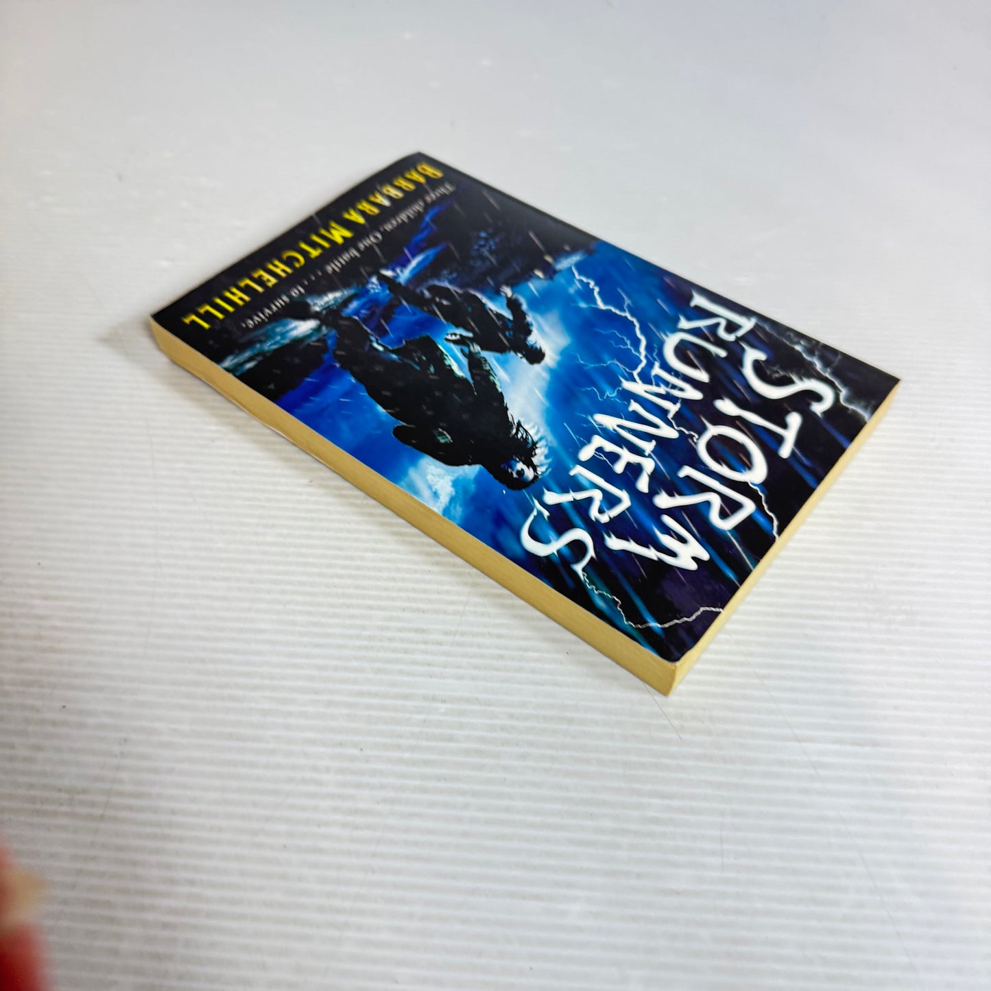 Storm Runners - Barbara Mitchelhill