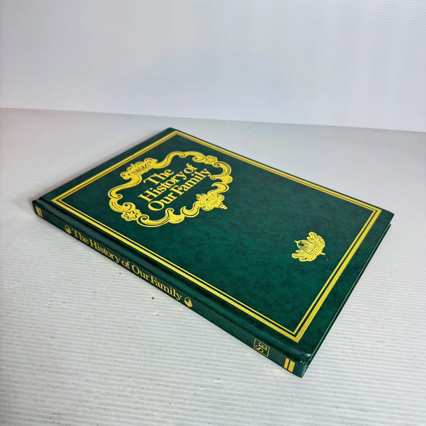 The History of Our Family - Record Book