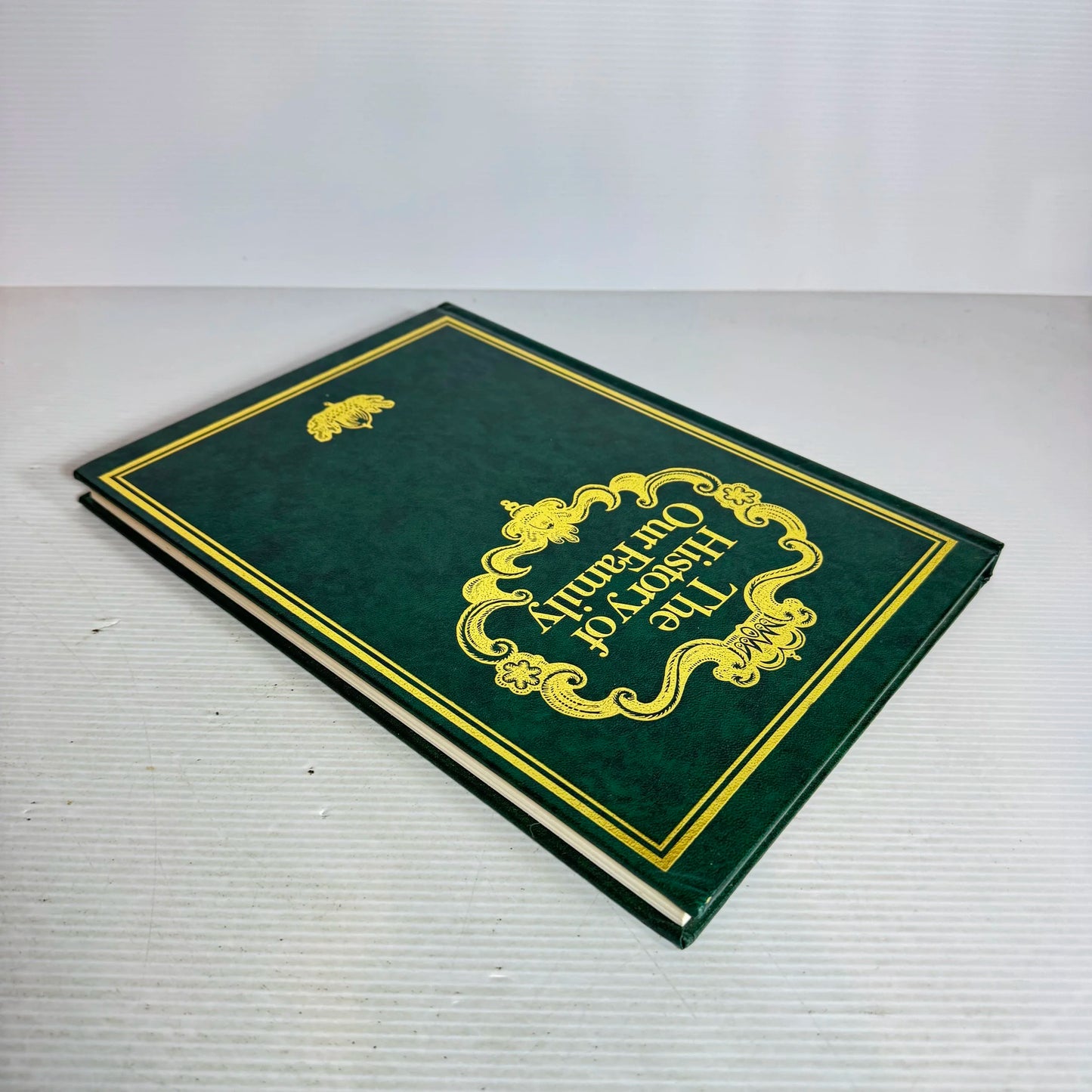 The History of Our Family - Record Book