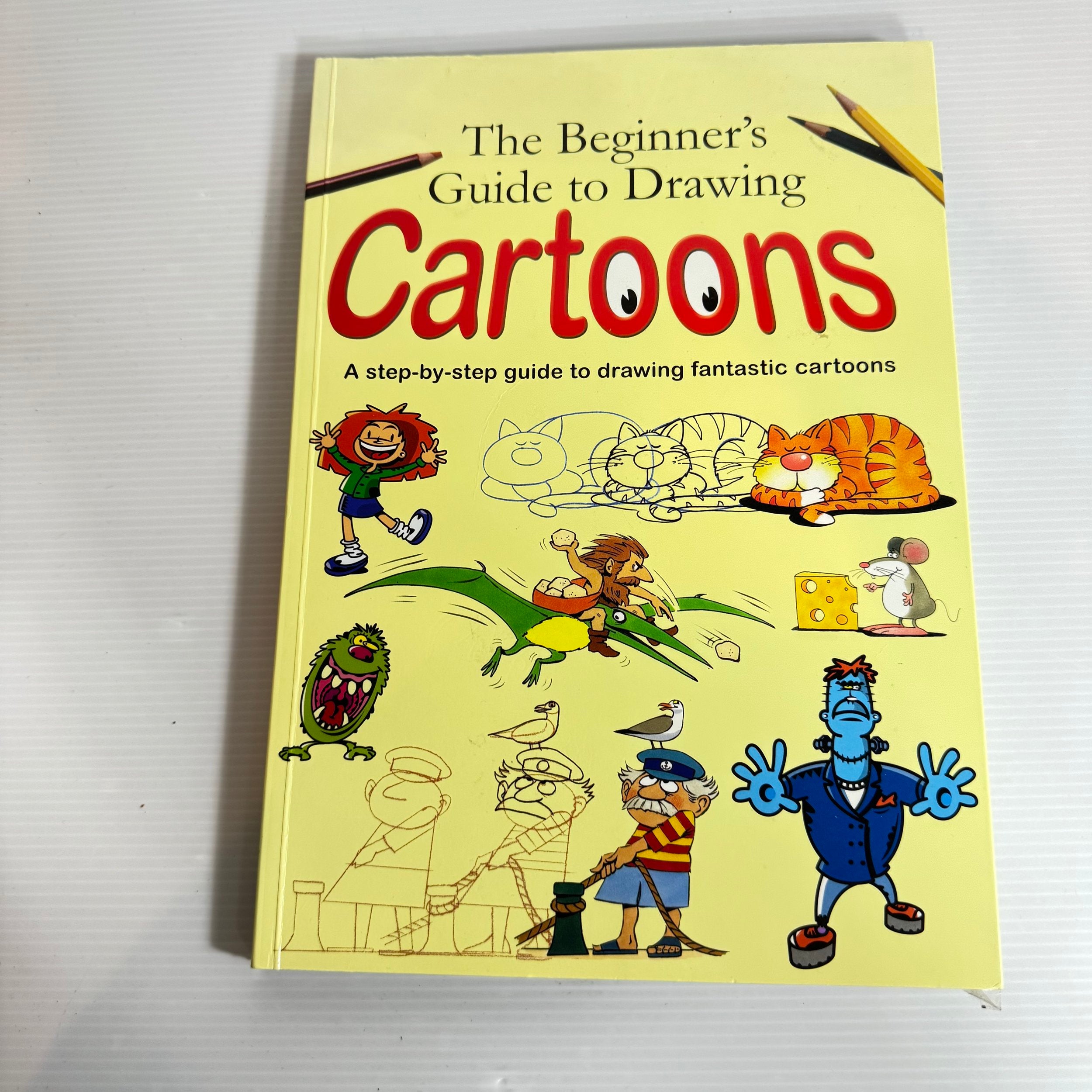 The Beginner's Guide to Drawing Cartoons : A Step-By-Step Guide to Dra ...