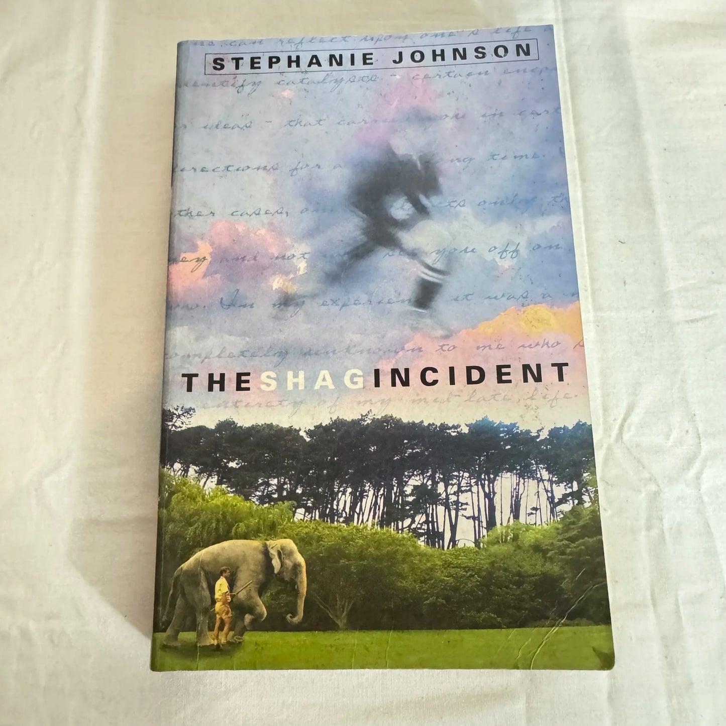 The Shag Incident - Stephanie Johnson