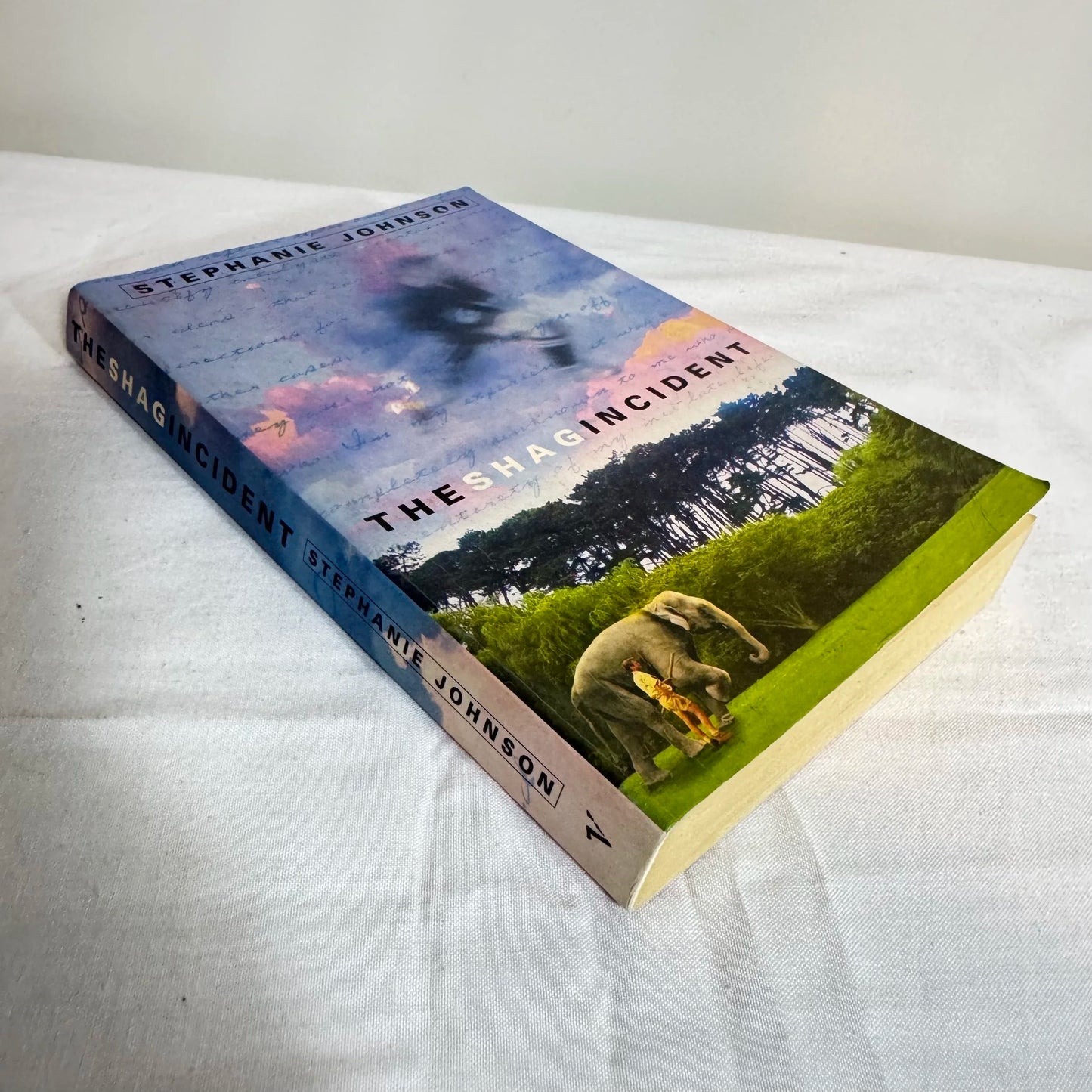 The Shag Incident - Stephanie Johnson