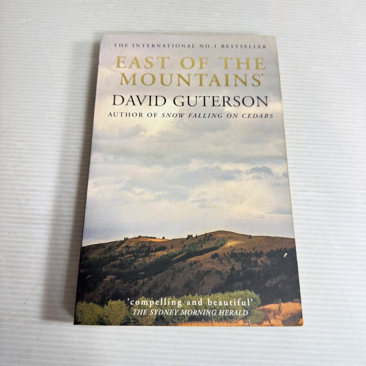 East Of The Mountains - David Guterson