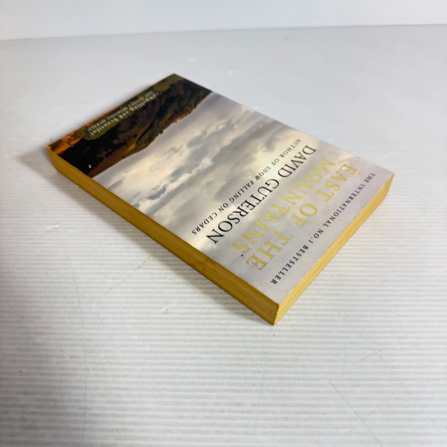 East Of The Mountains - David Guterson
