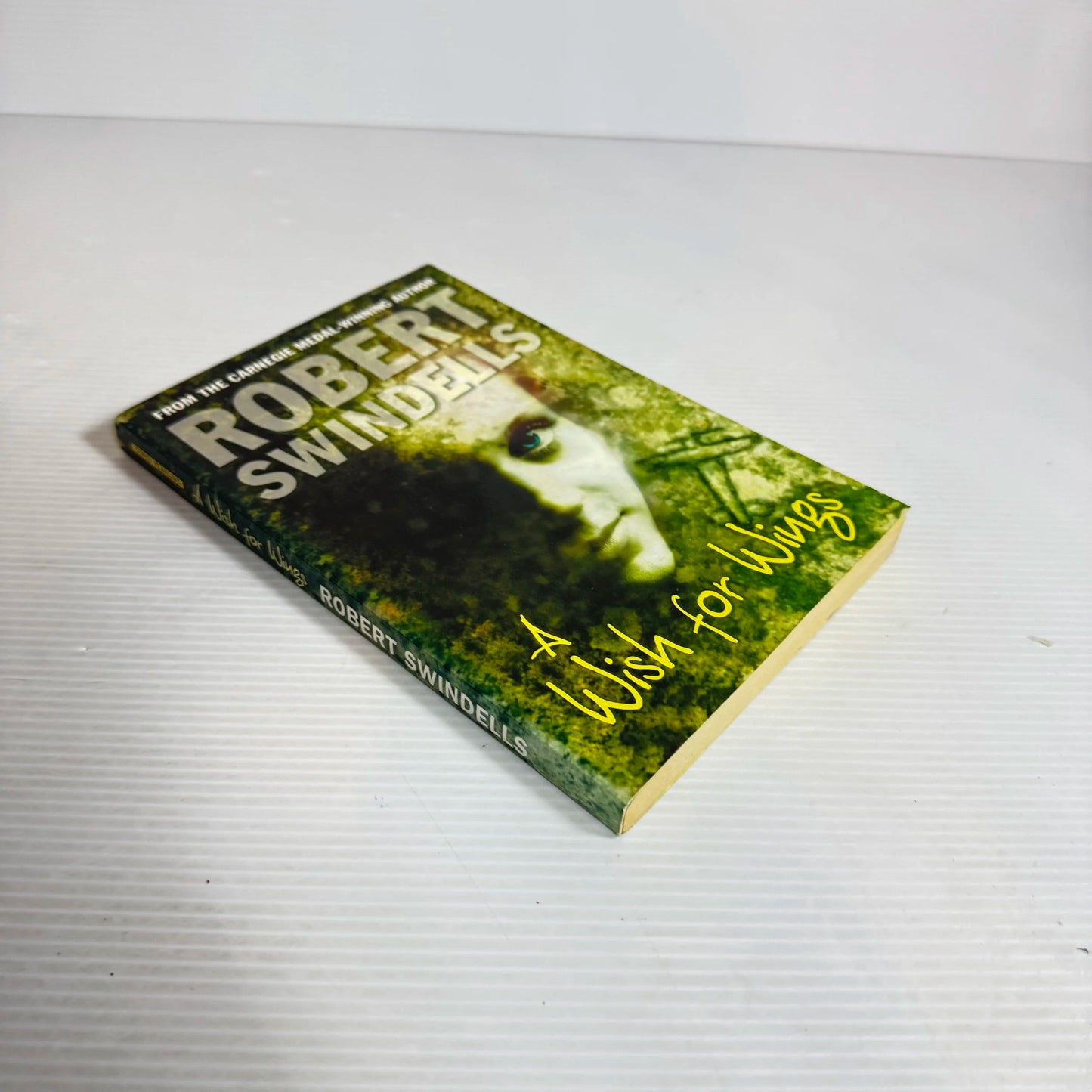 A Wish For Wings - Robert Swindells