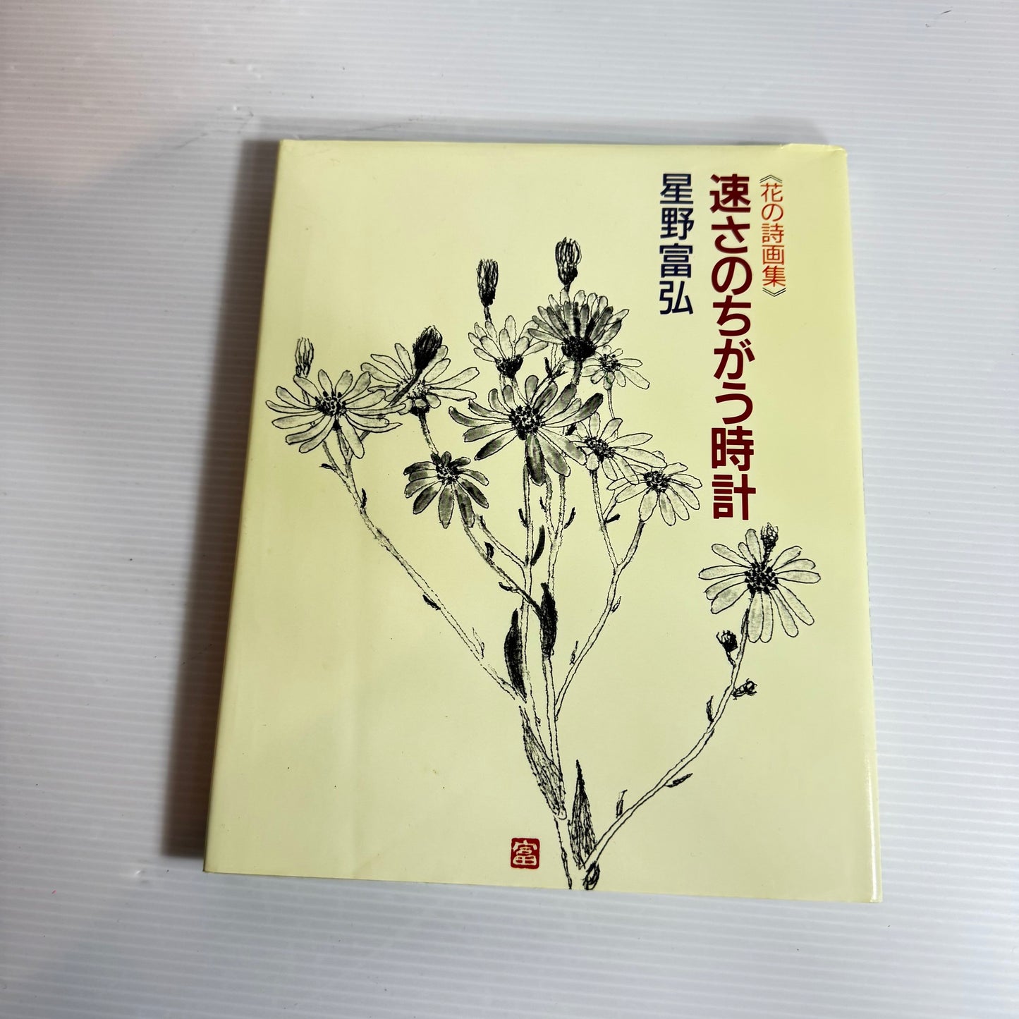 Clocks of Different Speeds - Tomihiro Hoshino (Japanese book in Japanese)