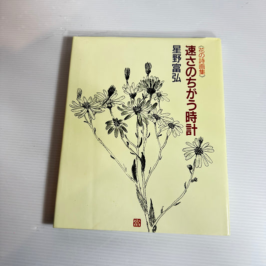 Clocks of Different Speeds - Tomihiro Hoshino (Japanese book in Japanese)