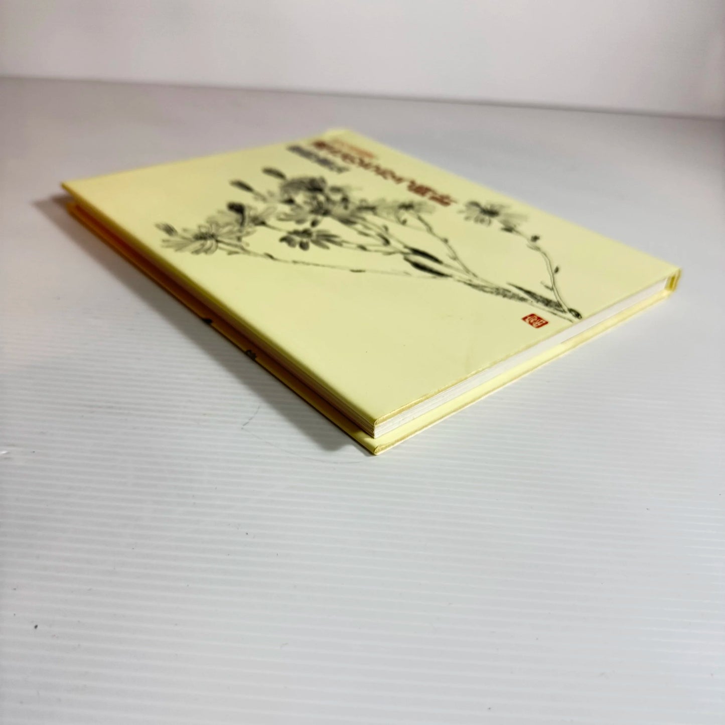 Clocks of Different Speeds - Tomihiro Hoshino (Japanese book in Japanese)
