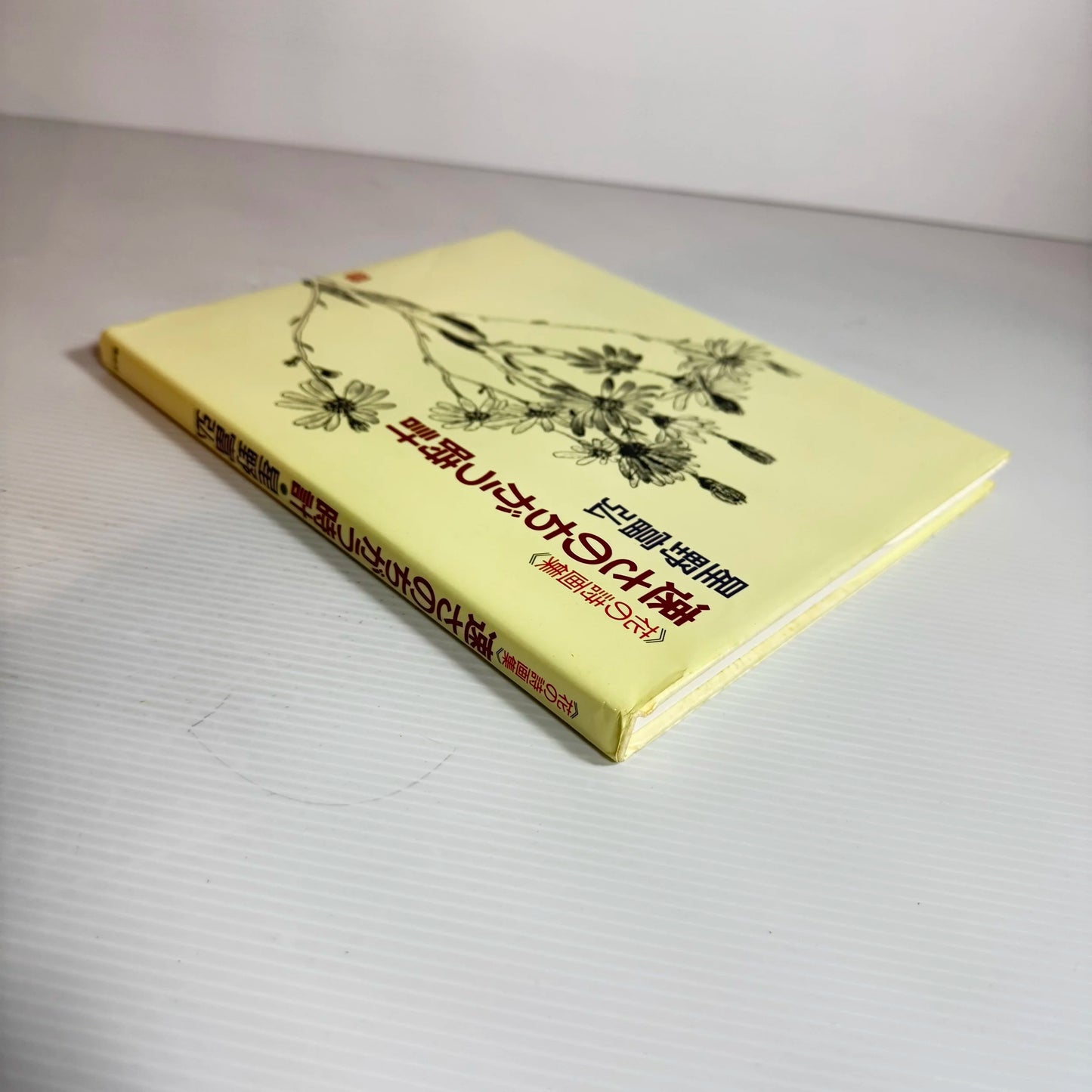 Clocks of Different Speeds - Tomihiro Hoshino (Japanese book in Japanese)