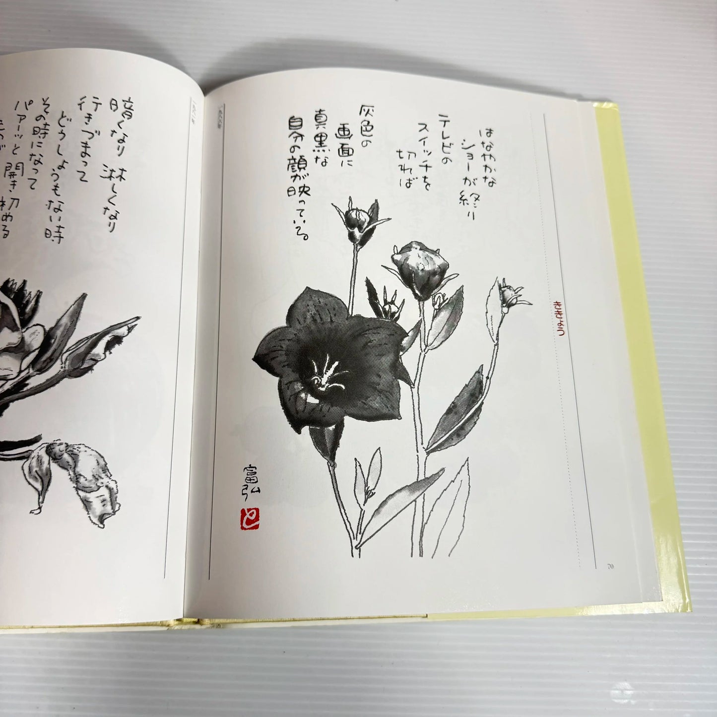 Clocks of Different Speeds - Tomihiro Hoshino (Japanese book in Japanese)