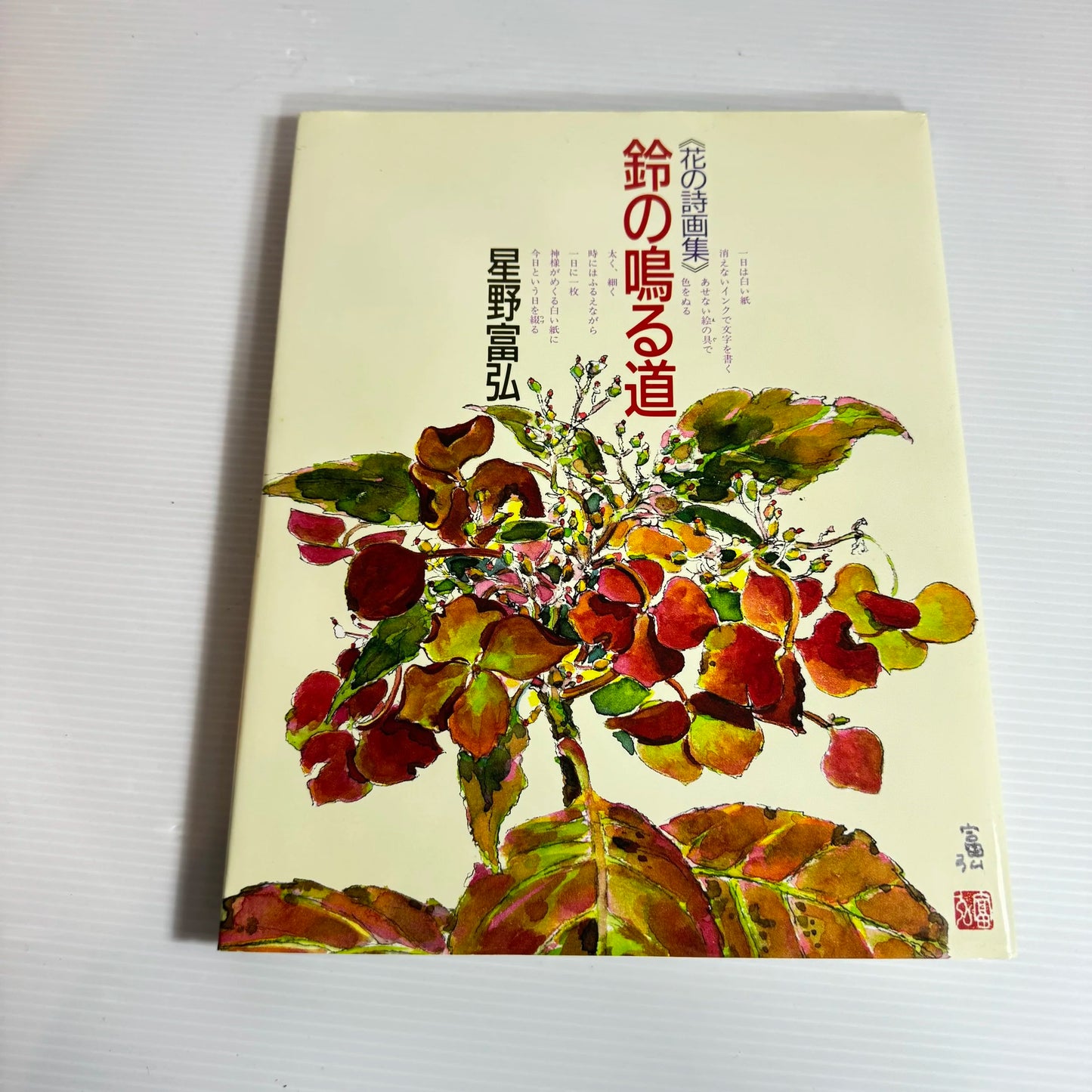 Road of the Tinkling Bell - Tomihiro Hoshino (Japanese Book in Japanese)