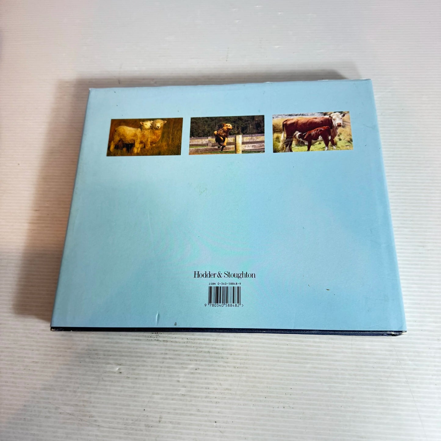 Station Country : Back-Country Life in New Zealand - Philip Holden