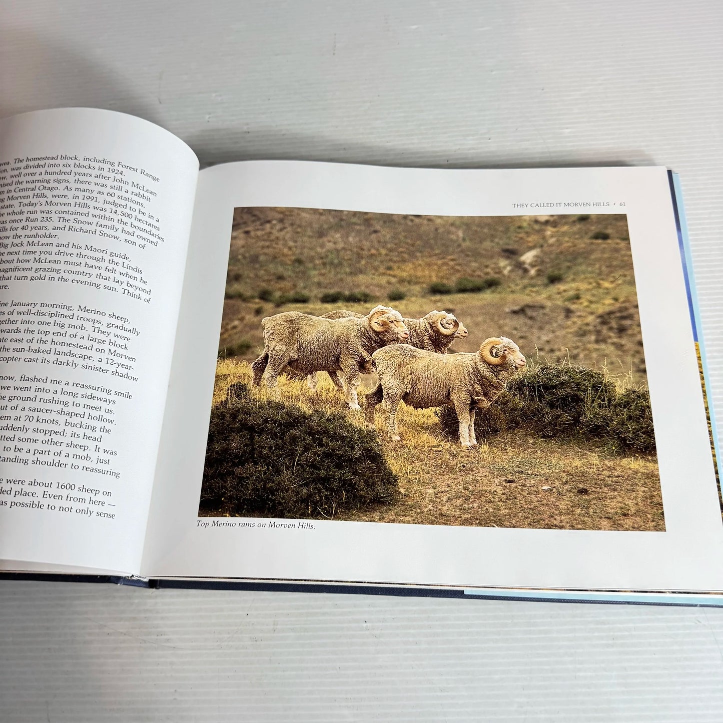 Station Country : Back-Country Life in New Zealand - Philip Holden