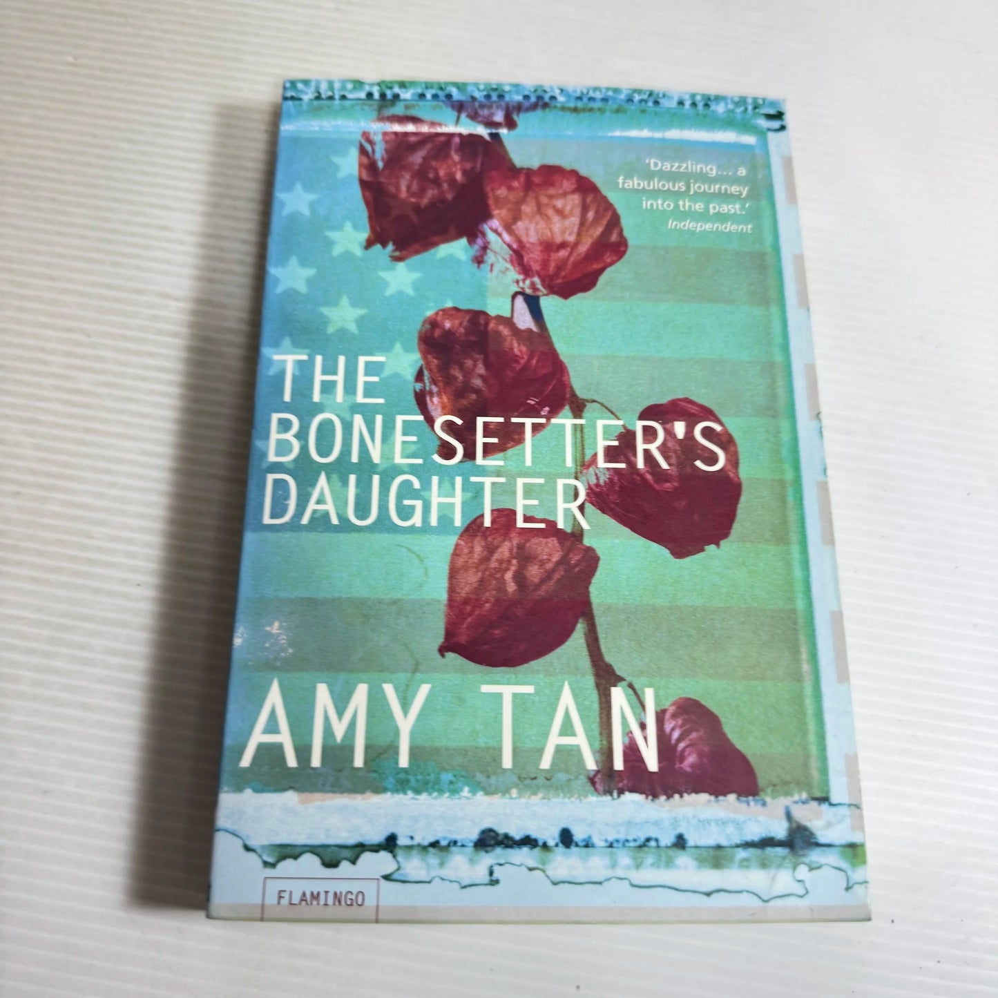 The Bonesetter's Daughter - Amy Tan