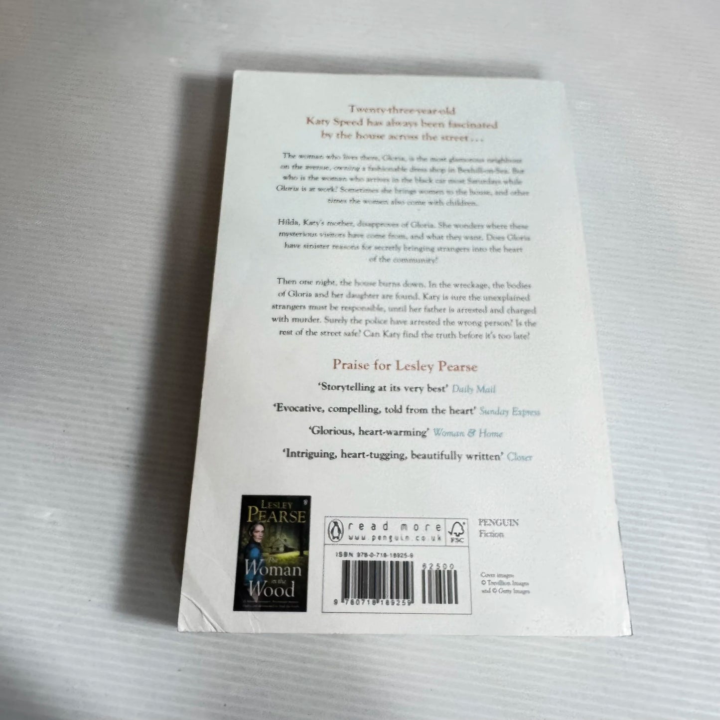 The House Across the Street - Lesley Pearse