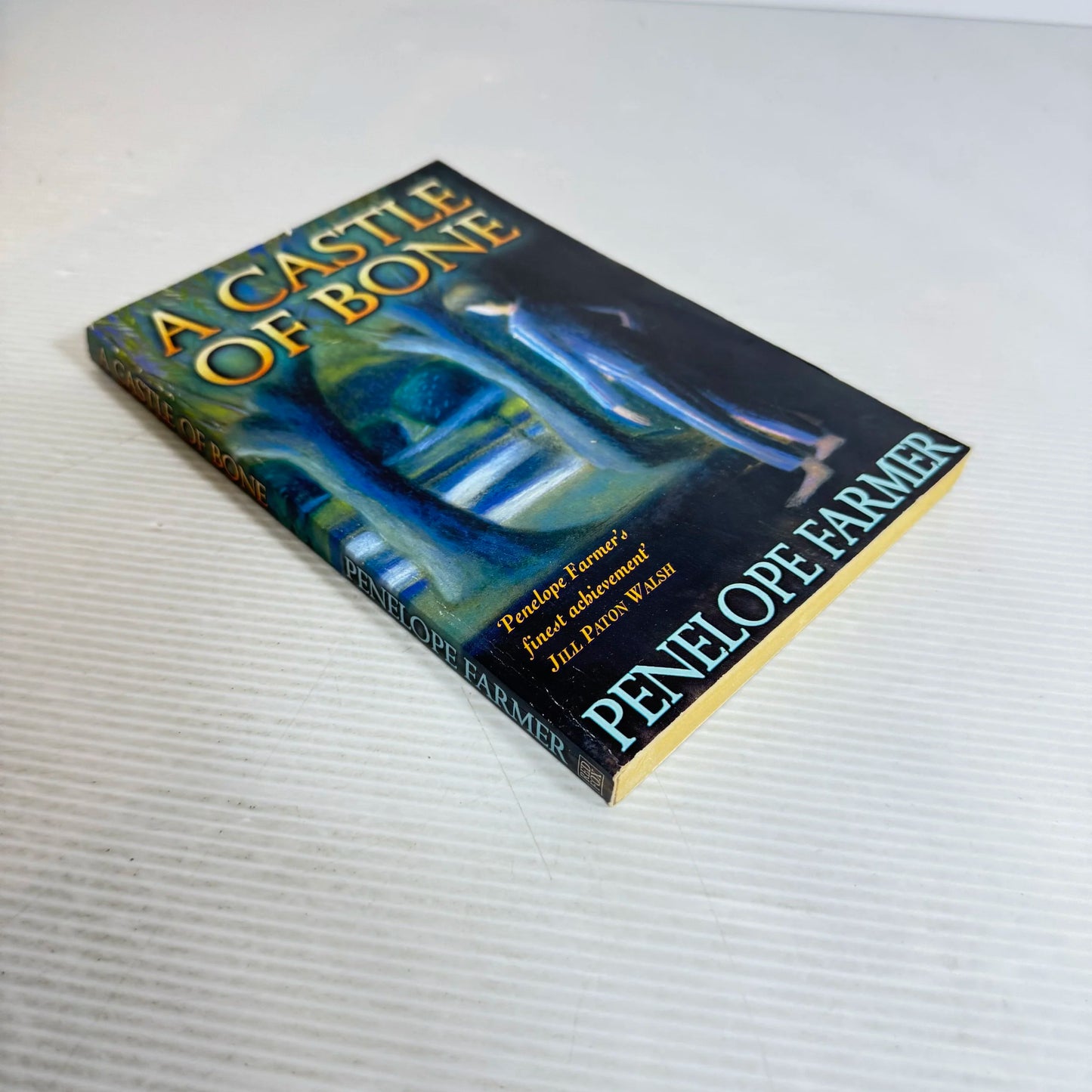 A Castle Of Bone - Penelope Farmer