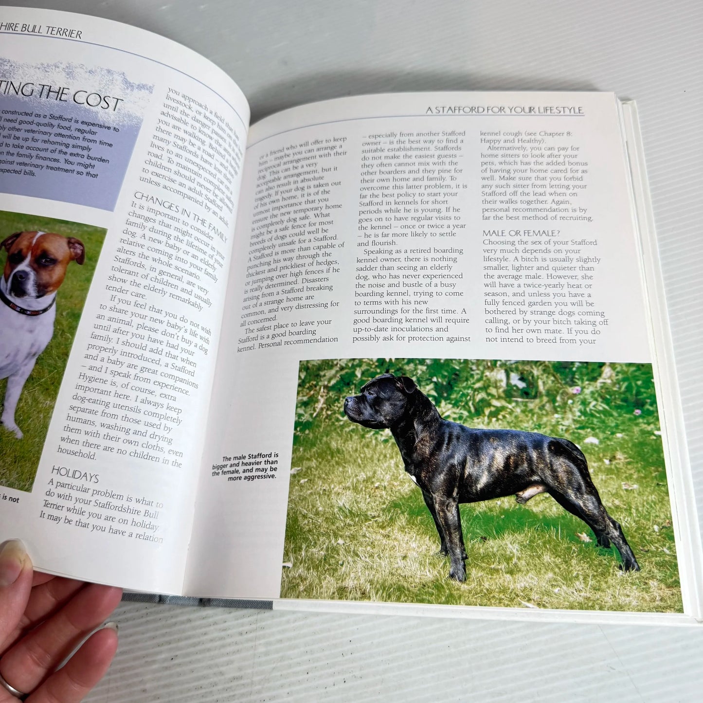 Staffordshire Bull Terrier : Best of Breed - Edited by Alex Waters