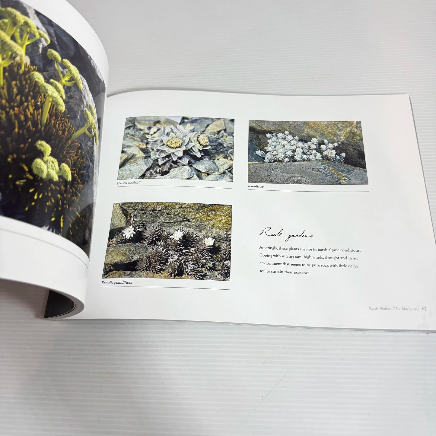 The Mackenzie : Through My Eyes - Keith Walter FPSNZ