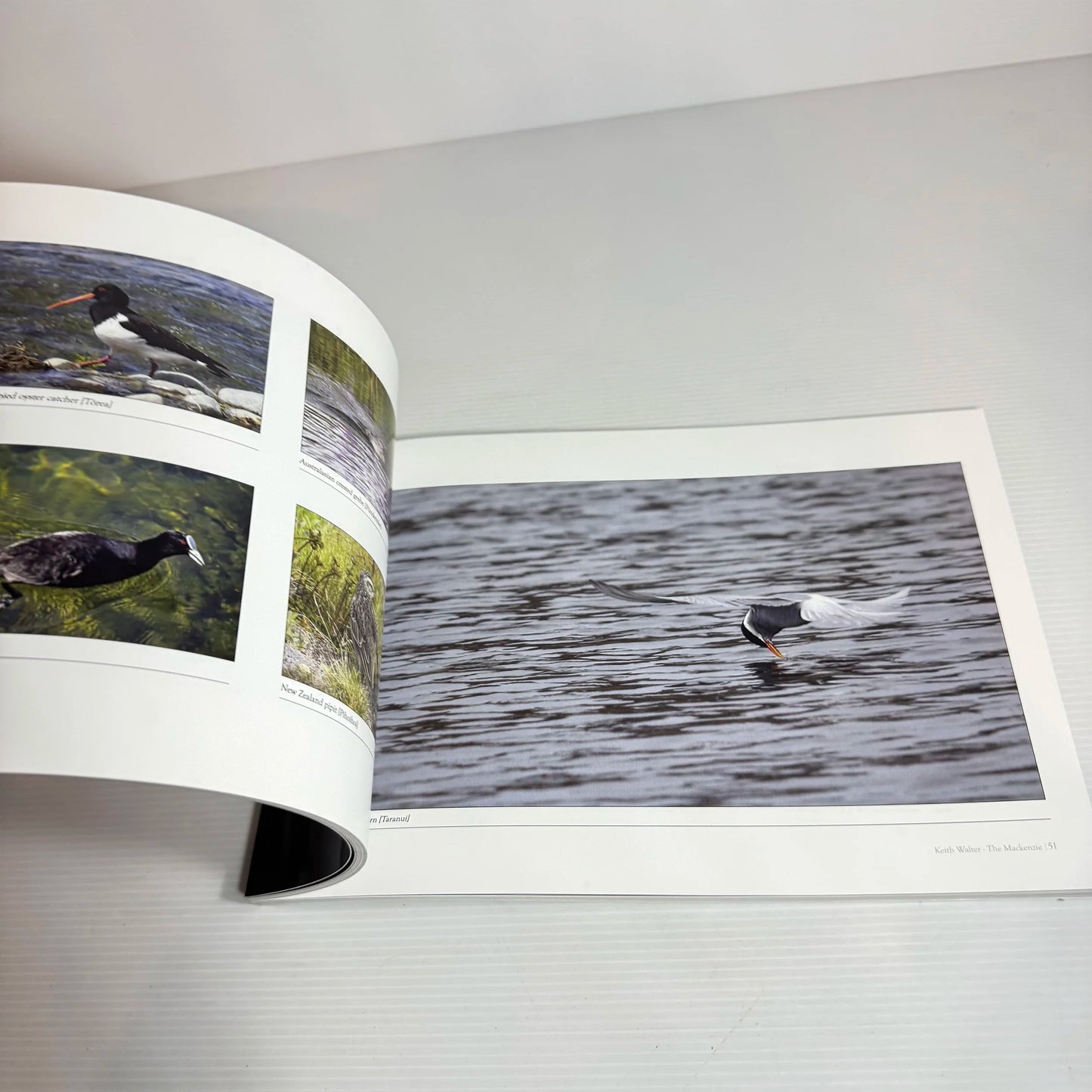 The Mackenzie : Through My Eyes - Keith Walter FPSNZ