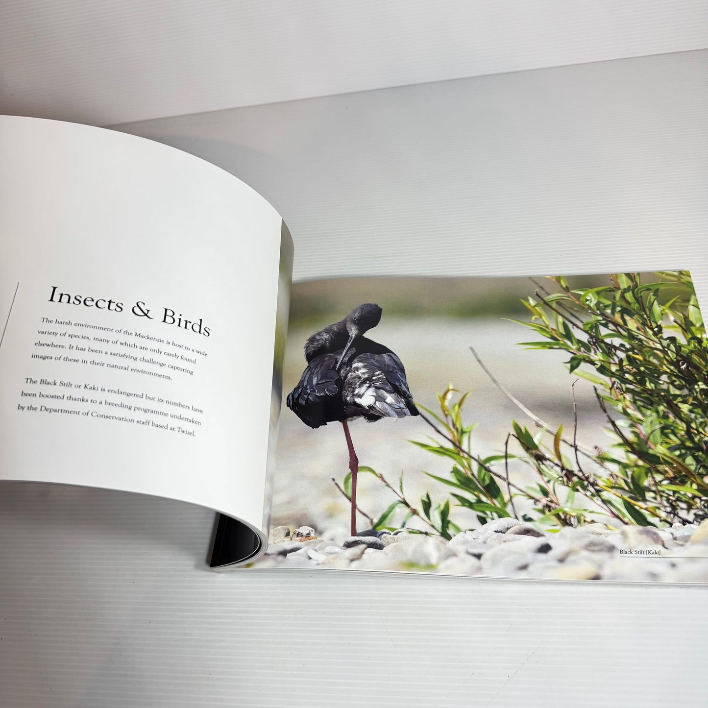 The Mackenzie : Through My Eyes - Keith Walter FPSNZ