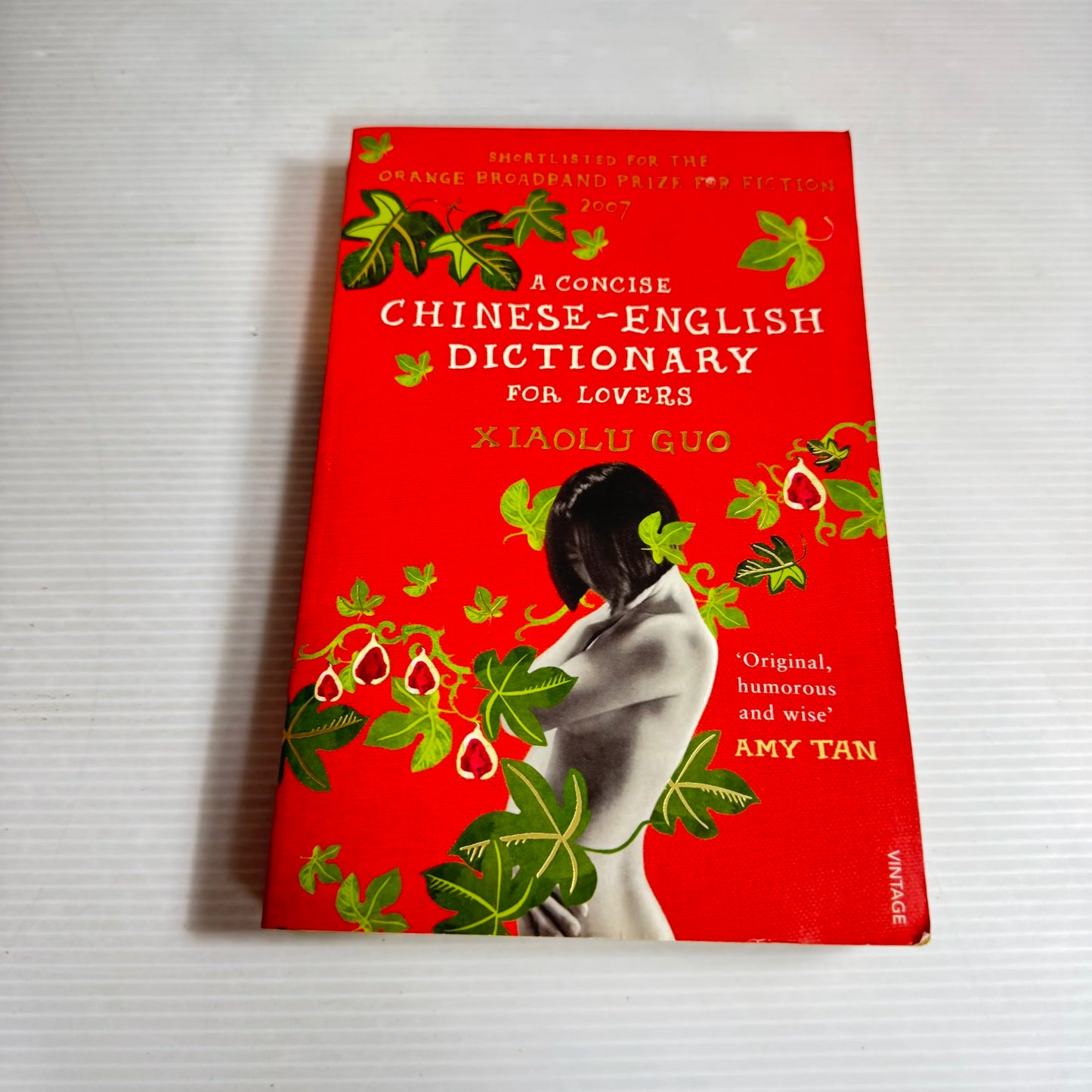 A Concise Chinese-English Dictionary For lovers - Xiaolu Gui