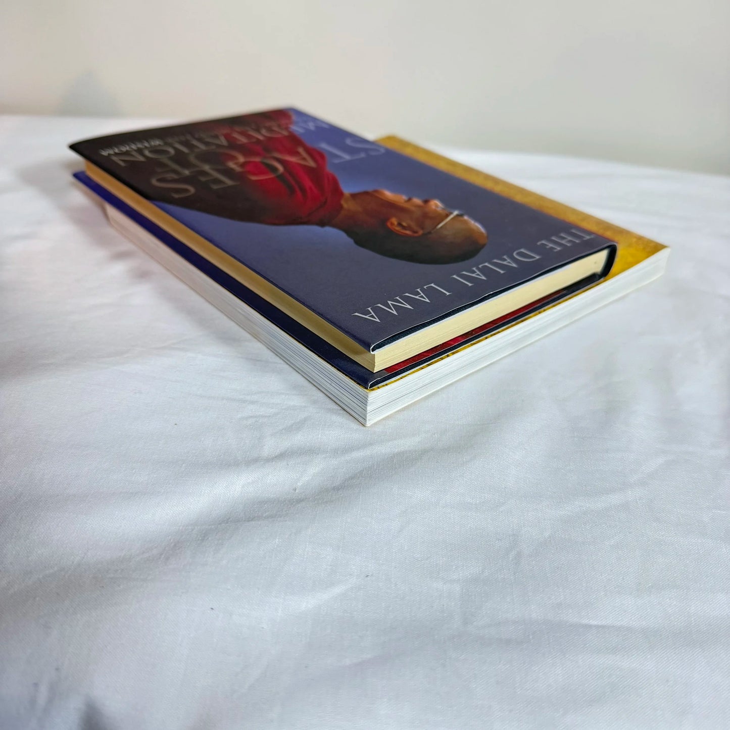 The Dalai Lama Book Bundle x2 Stages of Meditation & A Simple Path