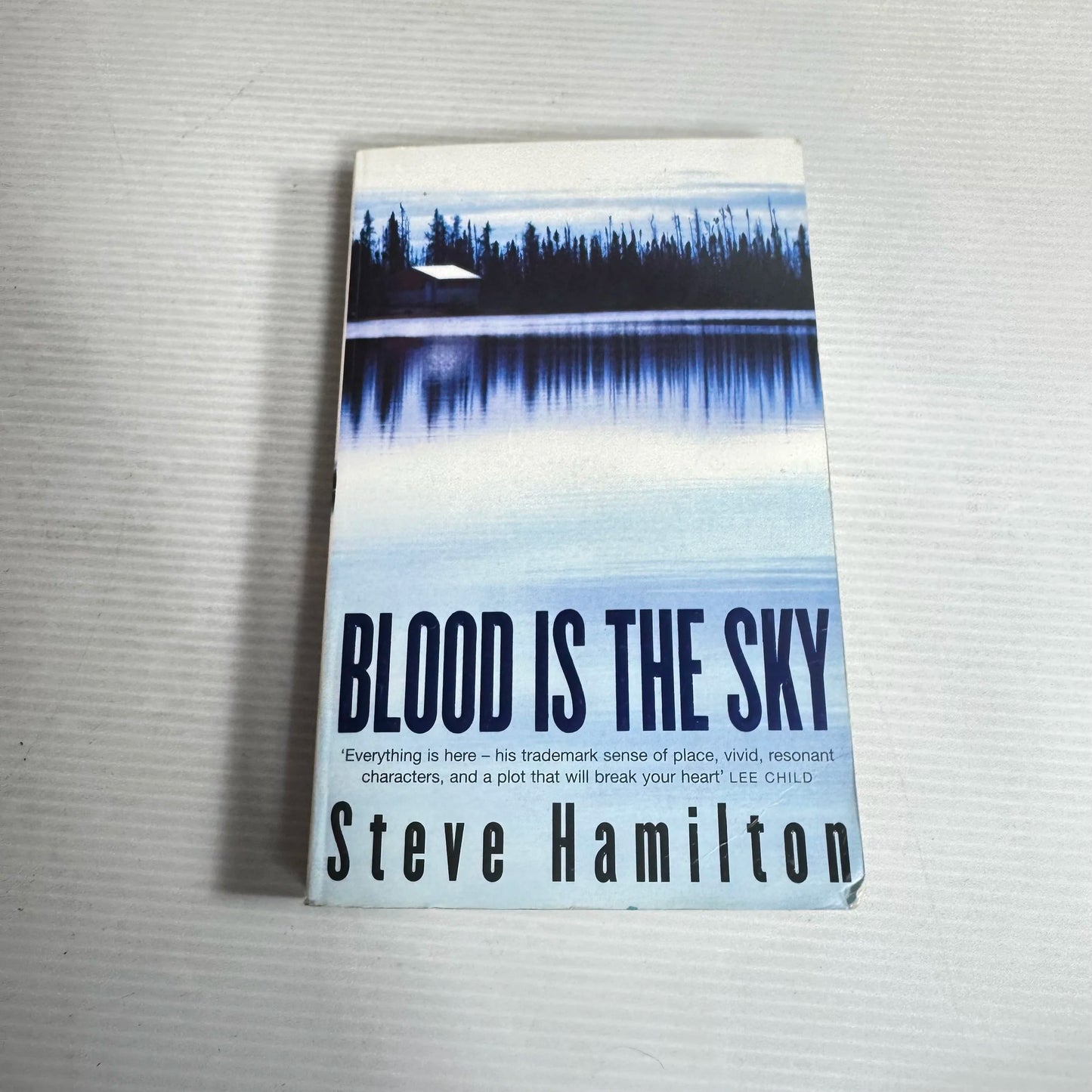 Blood Is The Sky - Steve Hamilton