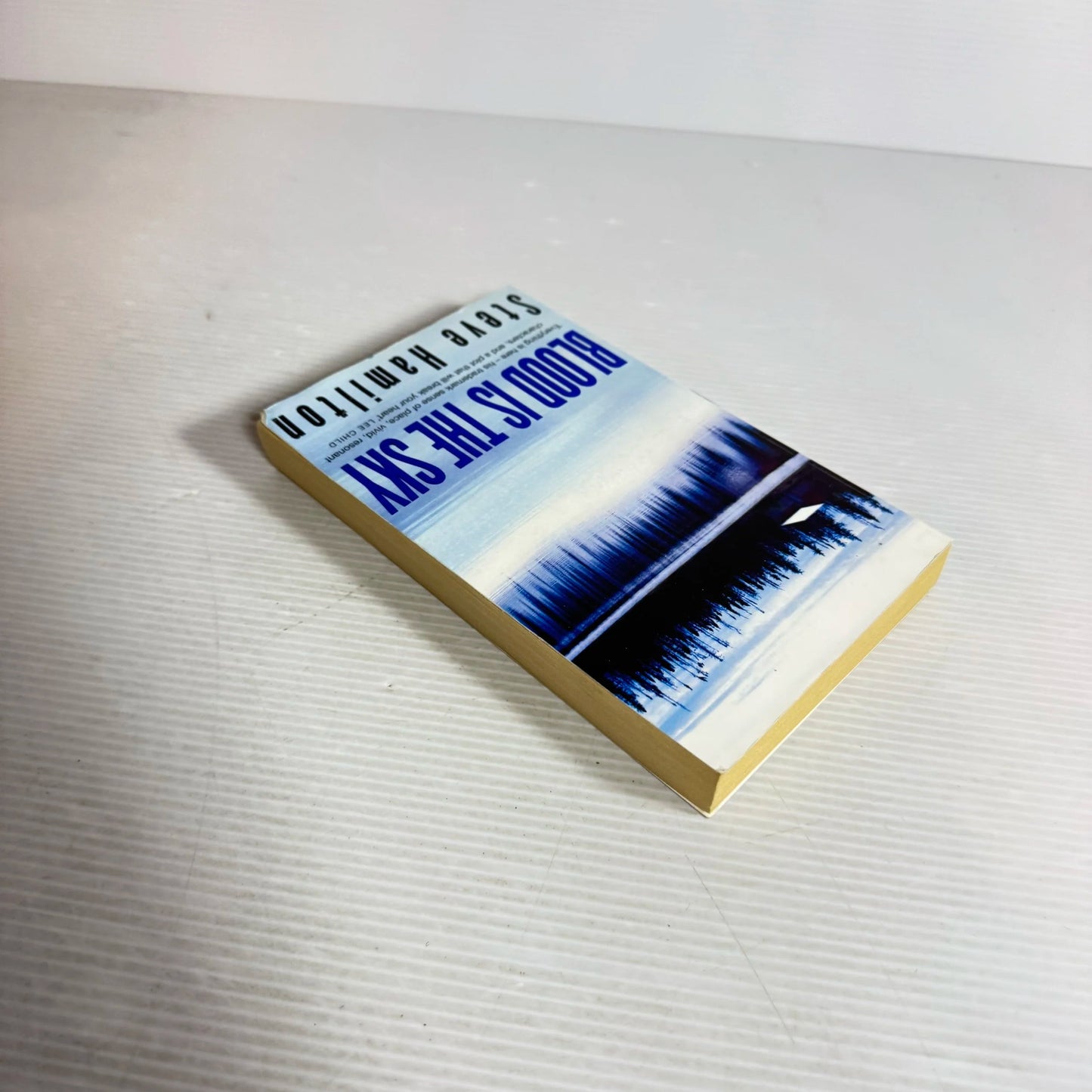 Blood Is The Sky - Steve Hamilton