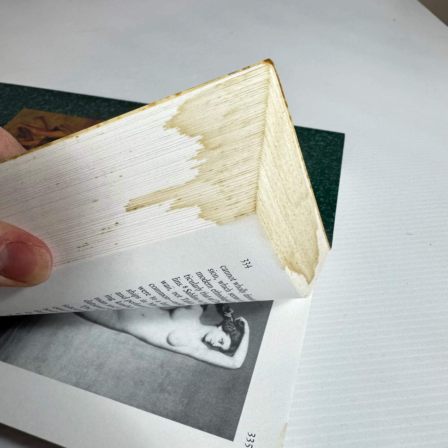 The Expanding Discourse : Feminism and Art History (1st Ed.) - Norma Broude & Mary D. Garrard