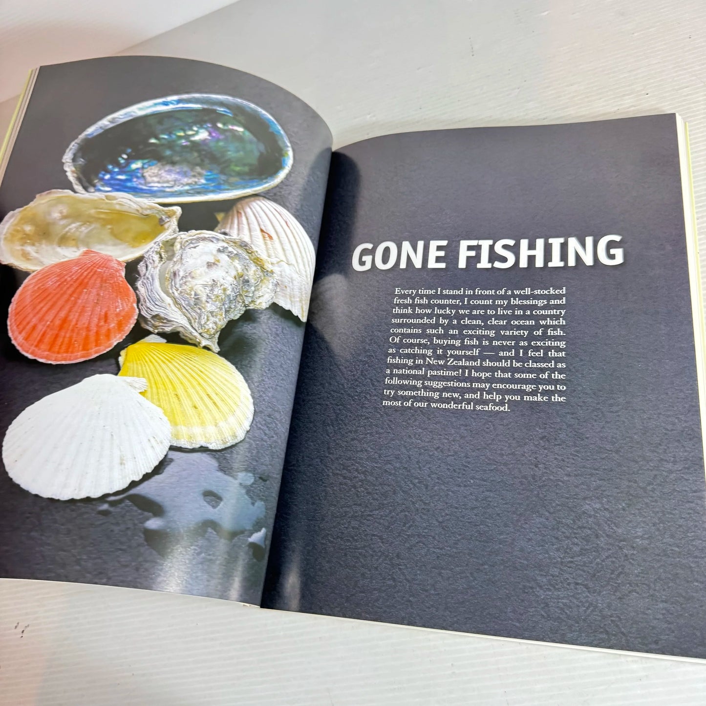 Alison Holst Cooks : Cooking Food for Warmer Days