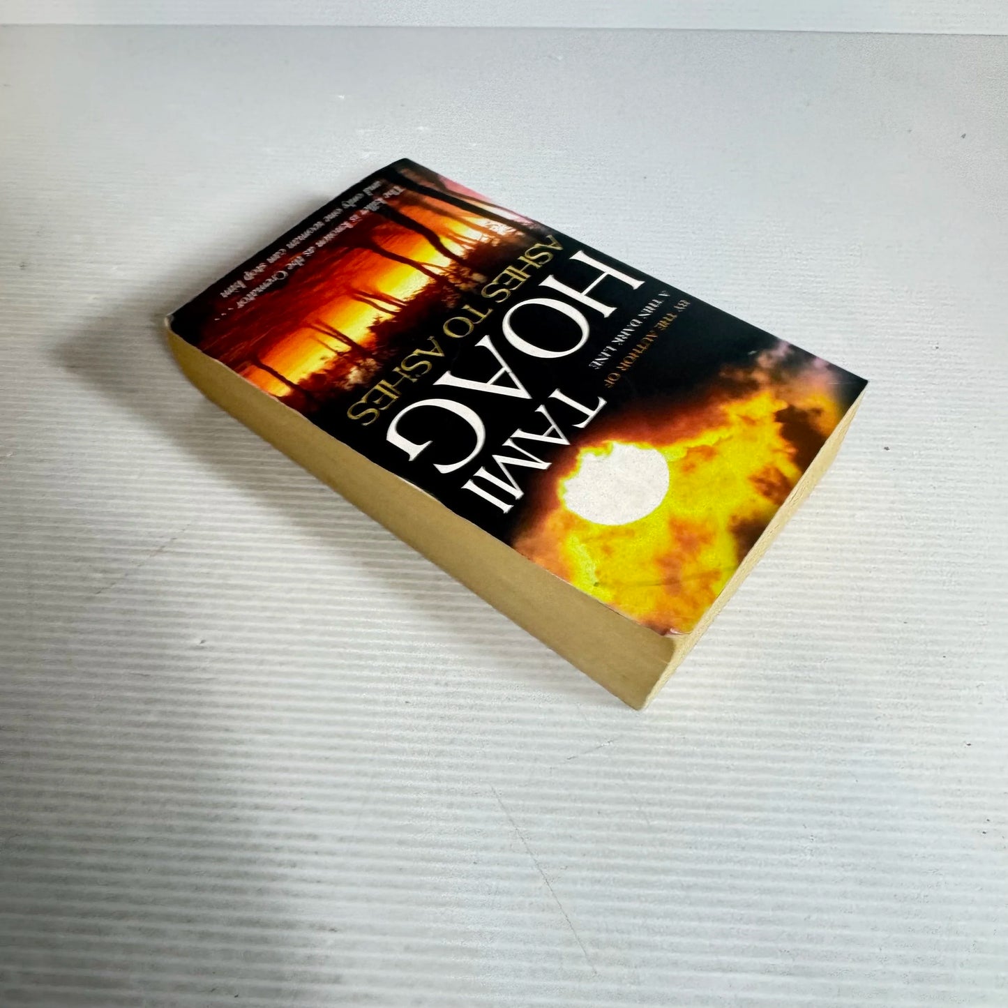 Ashes To Ashes - Tami Hoag