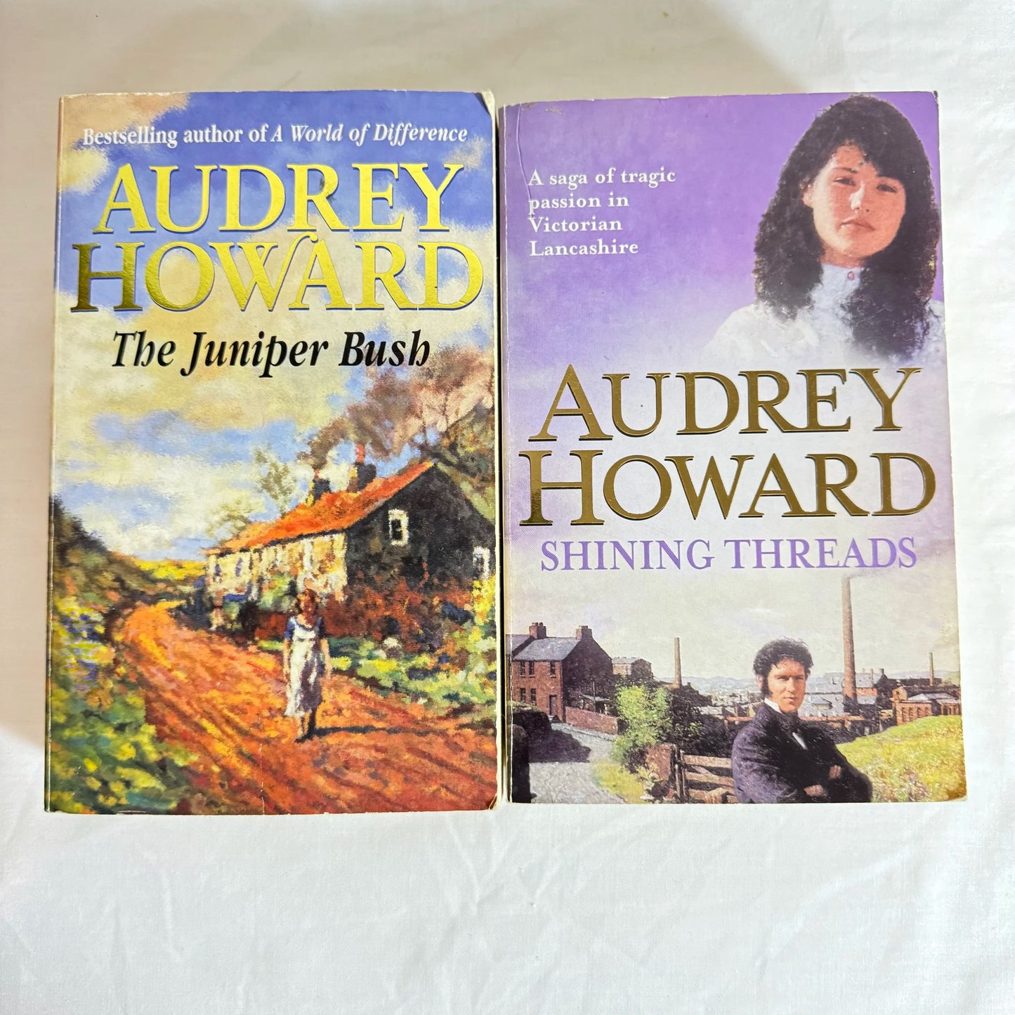 Audrey  Howard Book Bundle X 2 - Shinning Threads & The Juniper Bush