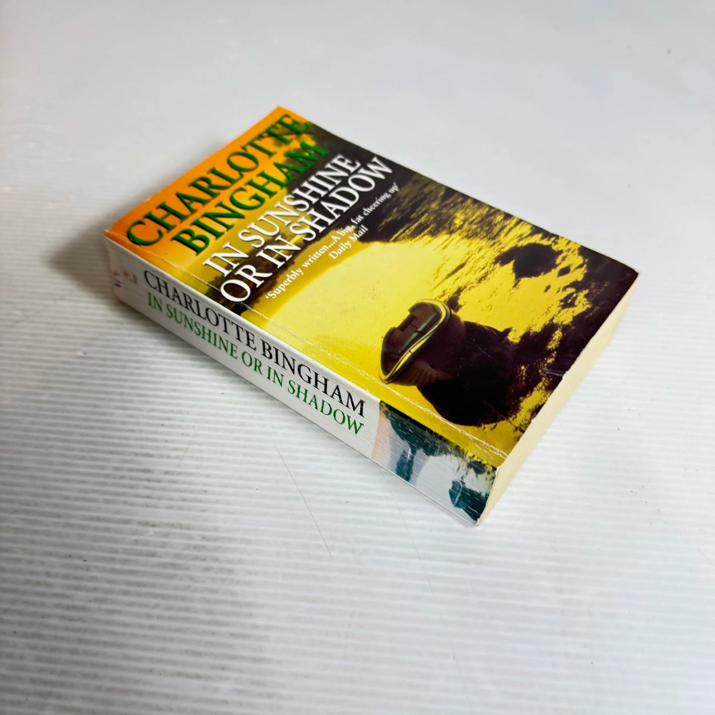 In Sunshine or in Shadow - Charlotte Bingham