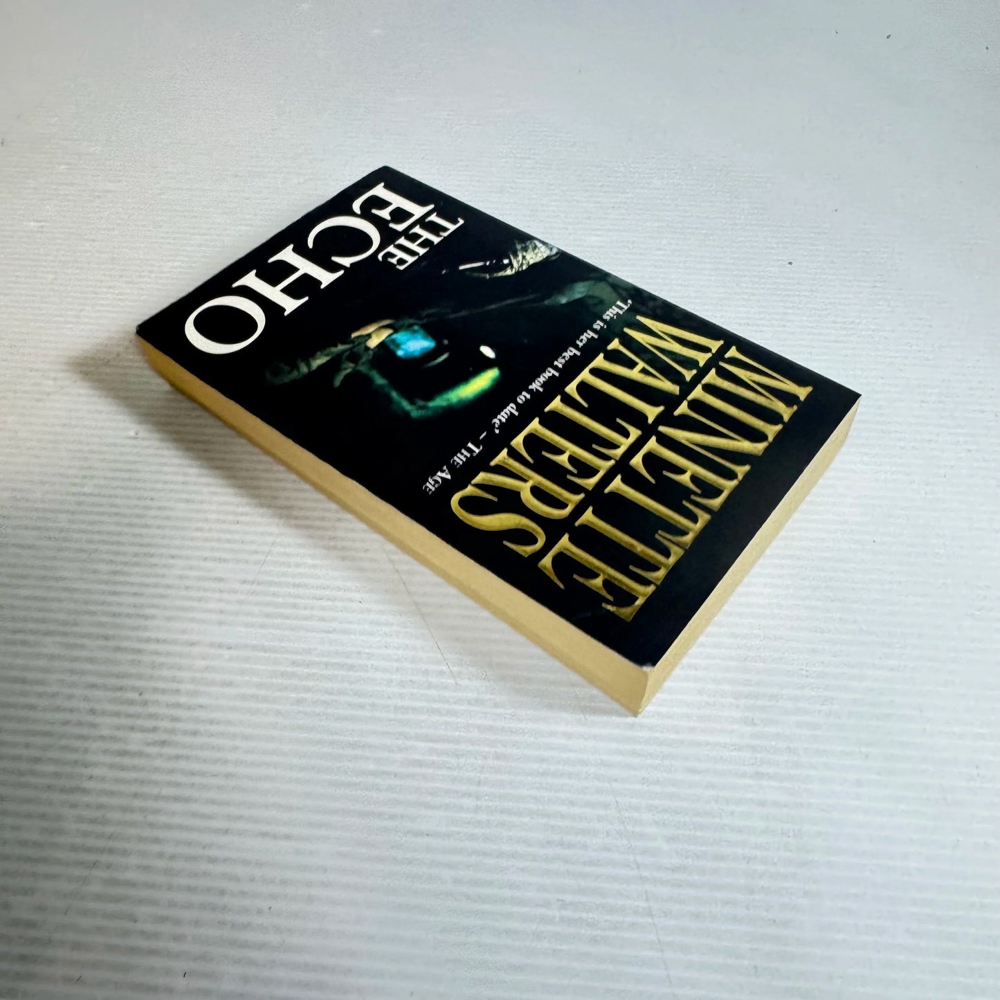 The Echo - Minette Walters