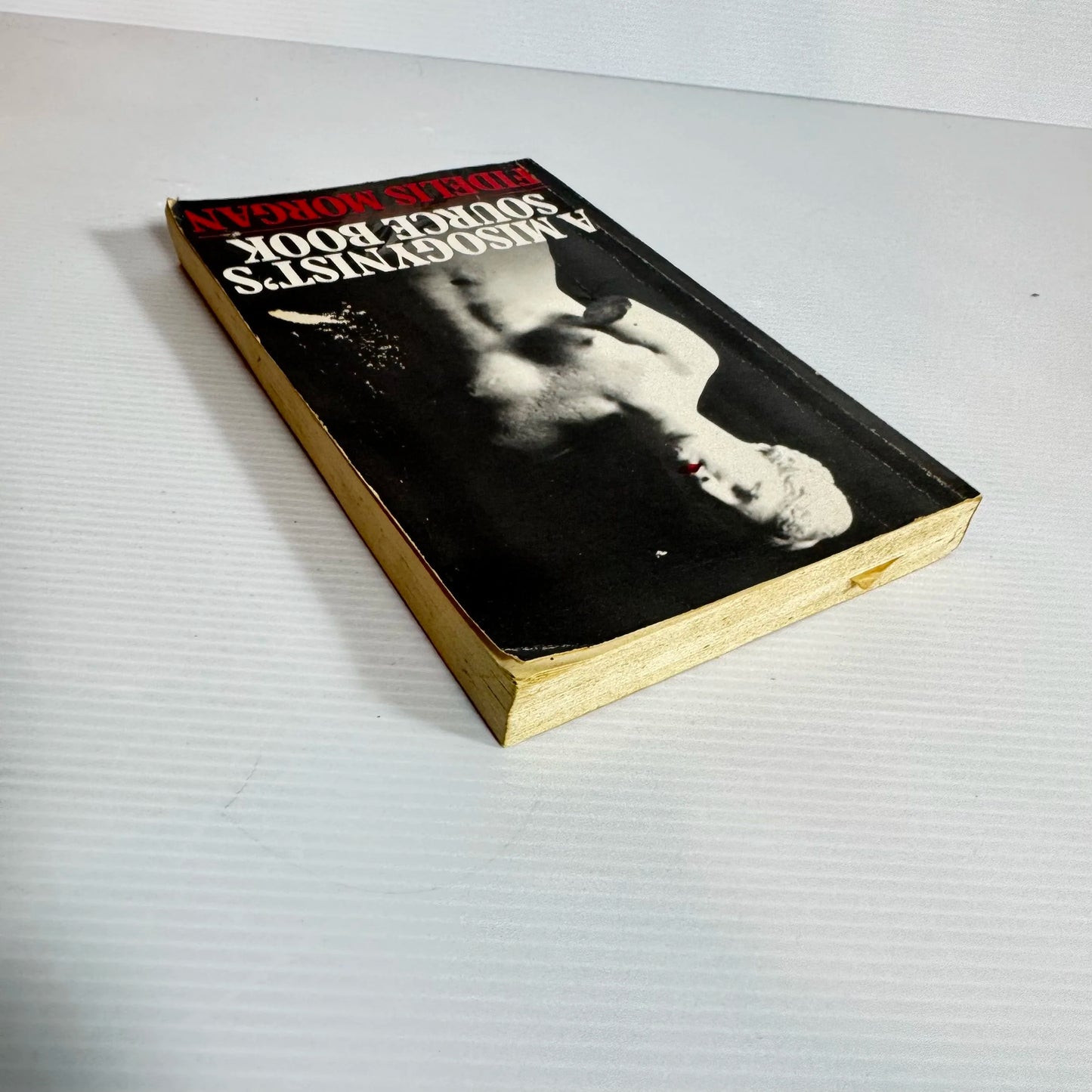 A Misogynist's Source Book - Fidelis Morgan (Vintage 1989)