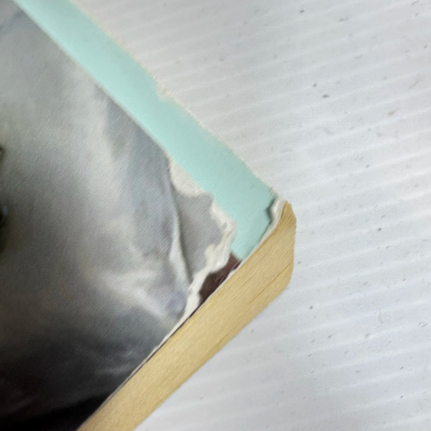 Love And The Single Heiress - Jacquie D'Alessandro