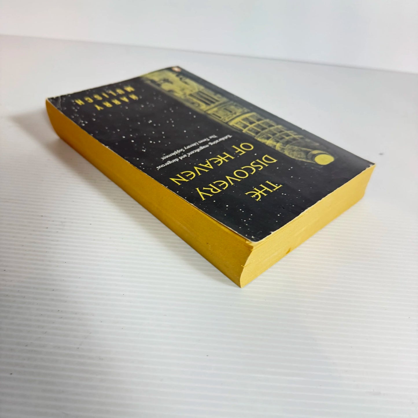 The Discovery of Heaven - Harry Mulisch (Vintage 1996)