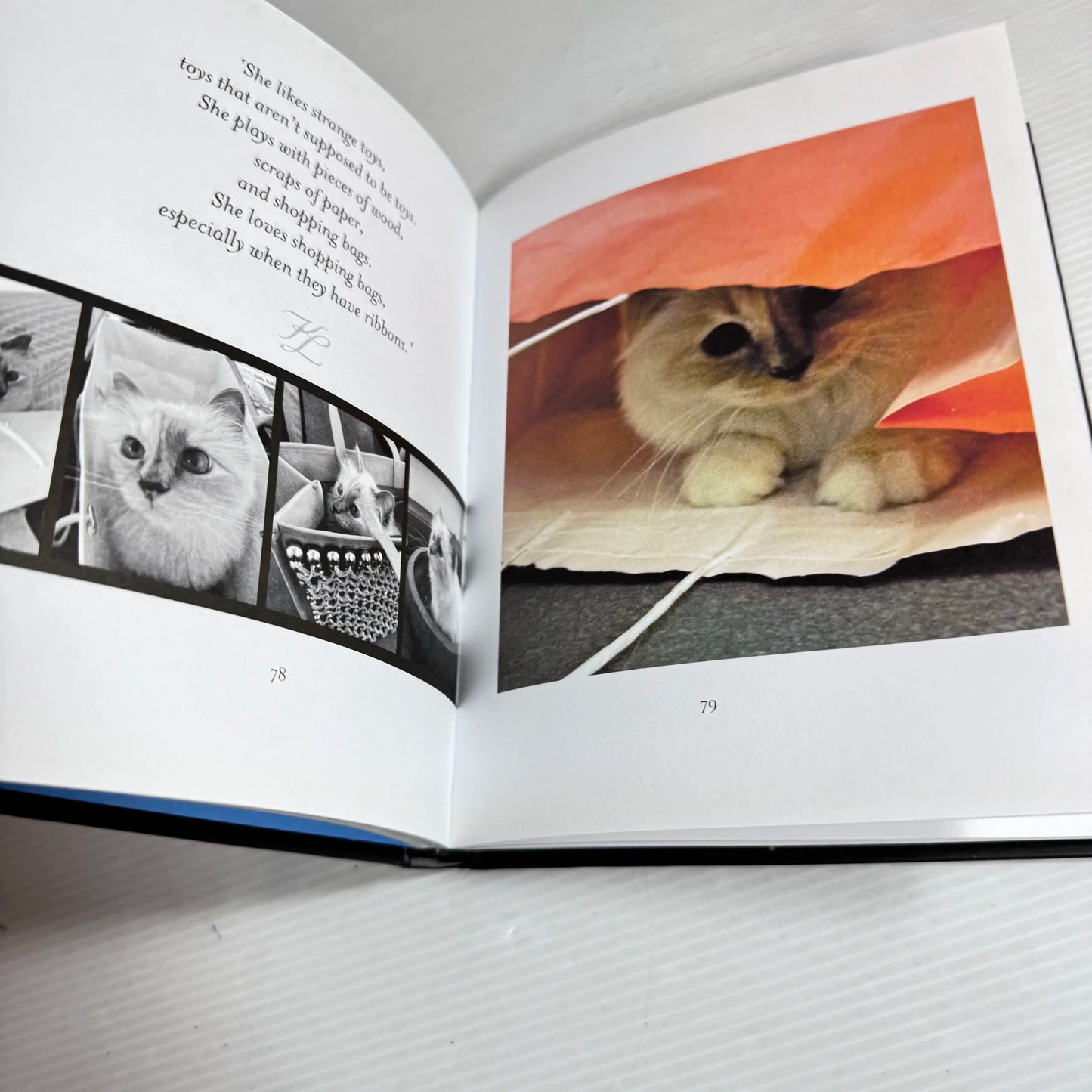 Choupette: The Private Life Of A High-Flying Fashion Cat - Thames & Hudson
