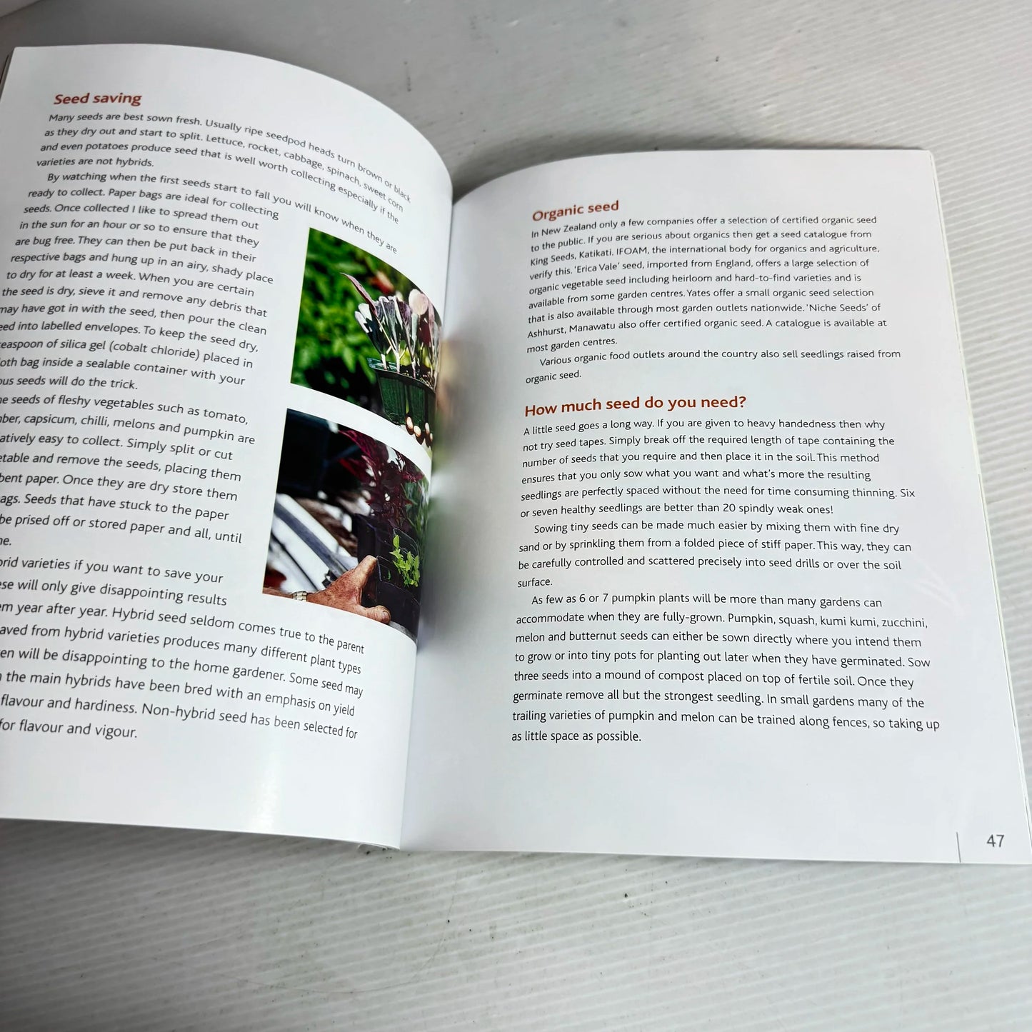 Easy On The Pocket Vegetable Gardening: Growing Your Own Groceries - Dennis Greville