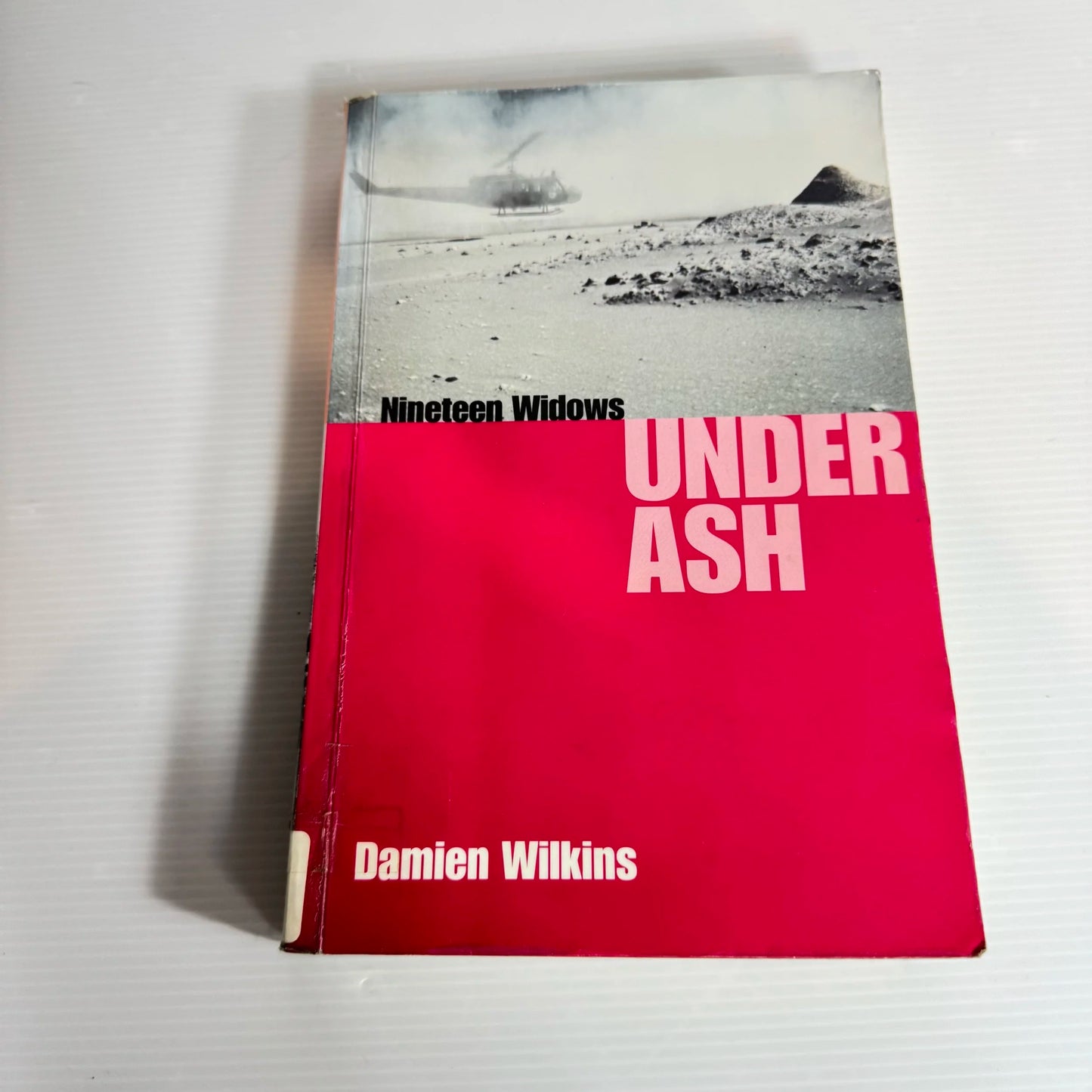 Nineteen Windows Under Ash - Damien Wilkins