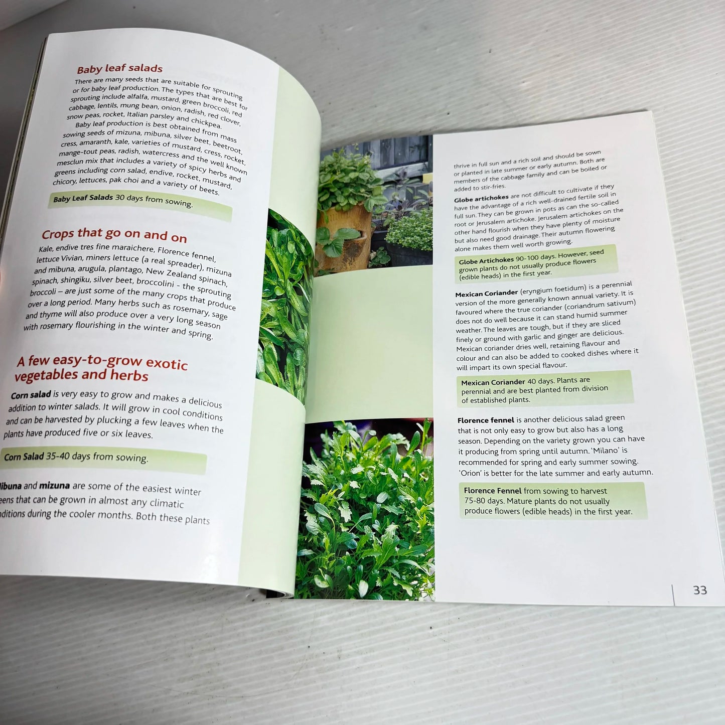 Easy On The Pocket Vegetable Gardening: Growing Your Own Groceries - Dennis Greville