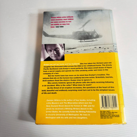 Nineteen Windows Under Ash - Damien Wilkins