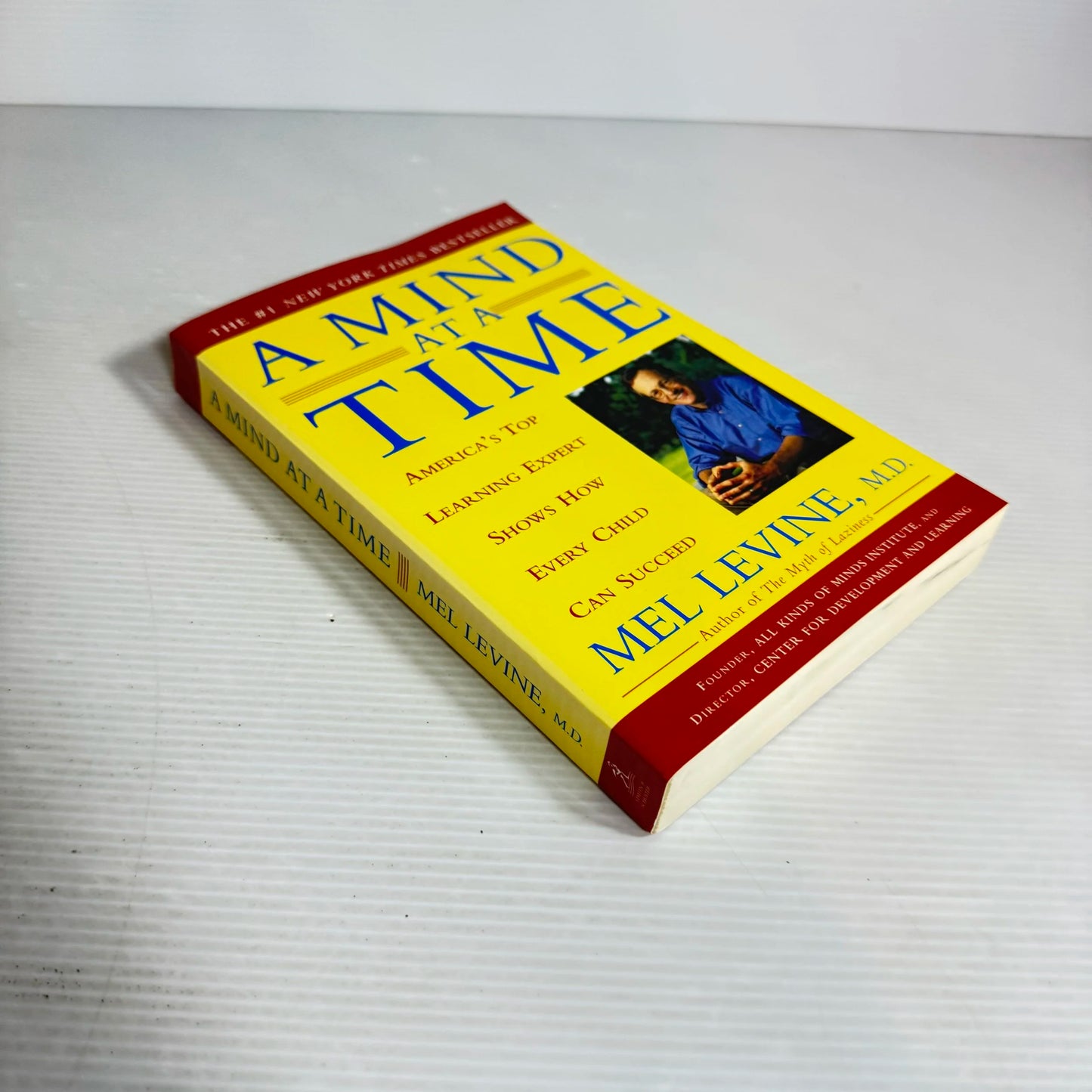 A Mind At A Time - Mel Levine