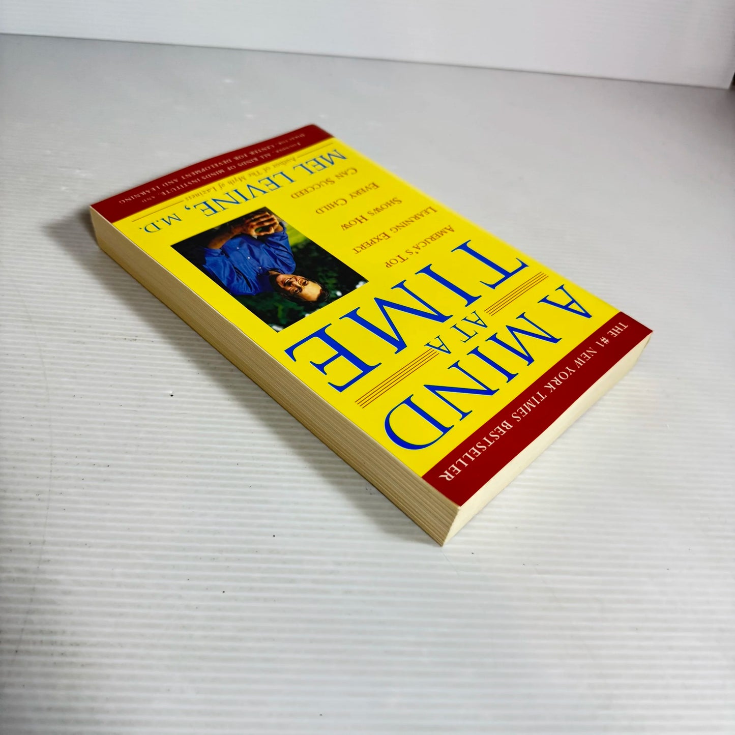 A Mind At A Time - Mel Levine