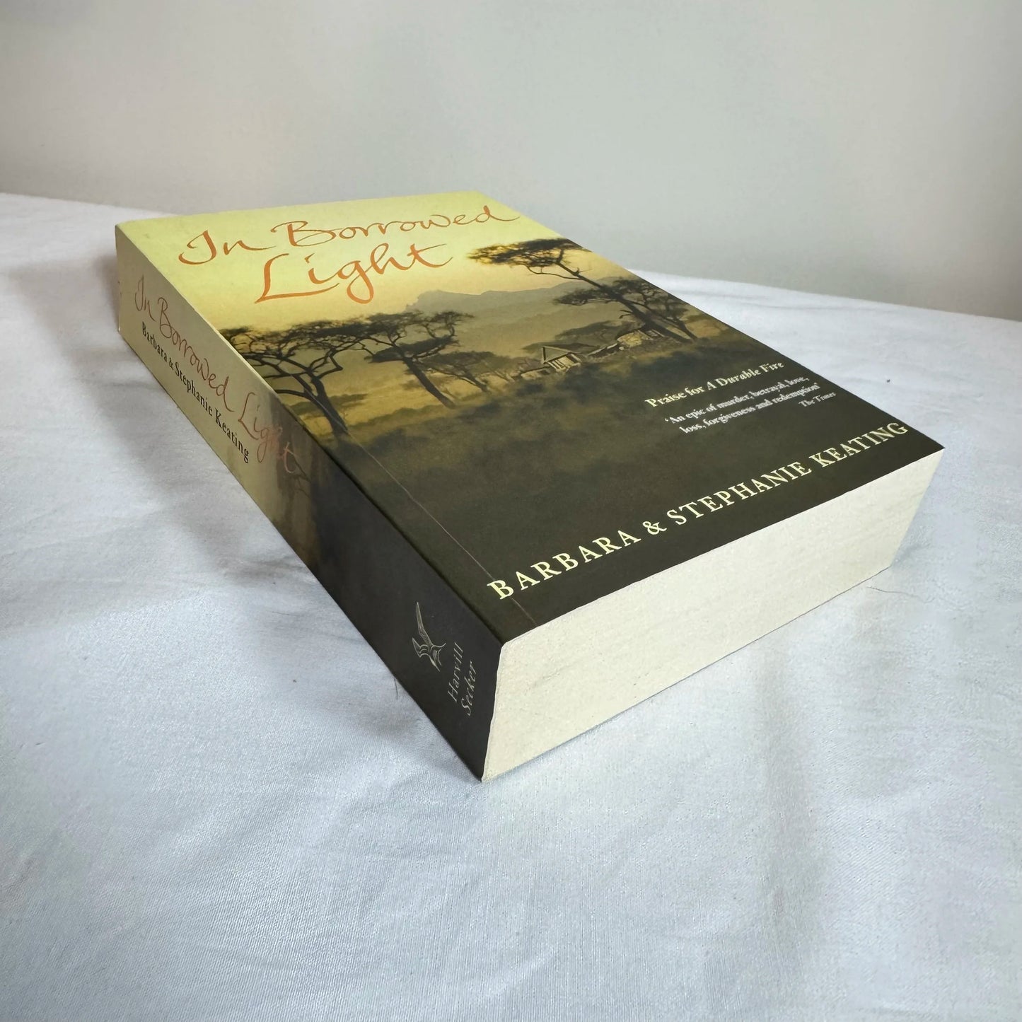 In Borrowed Light - Barbara & Stephanie Keating